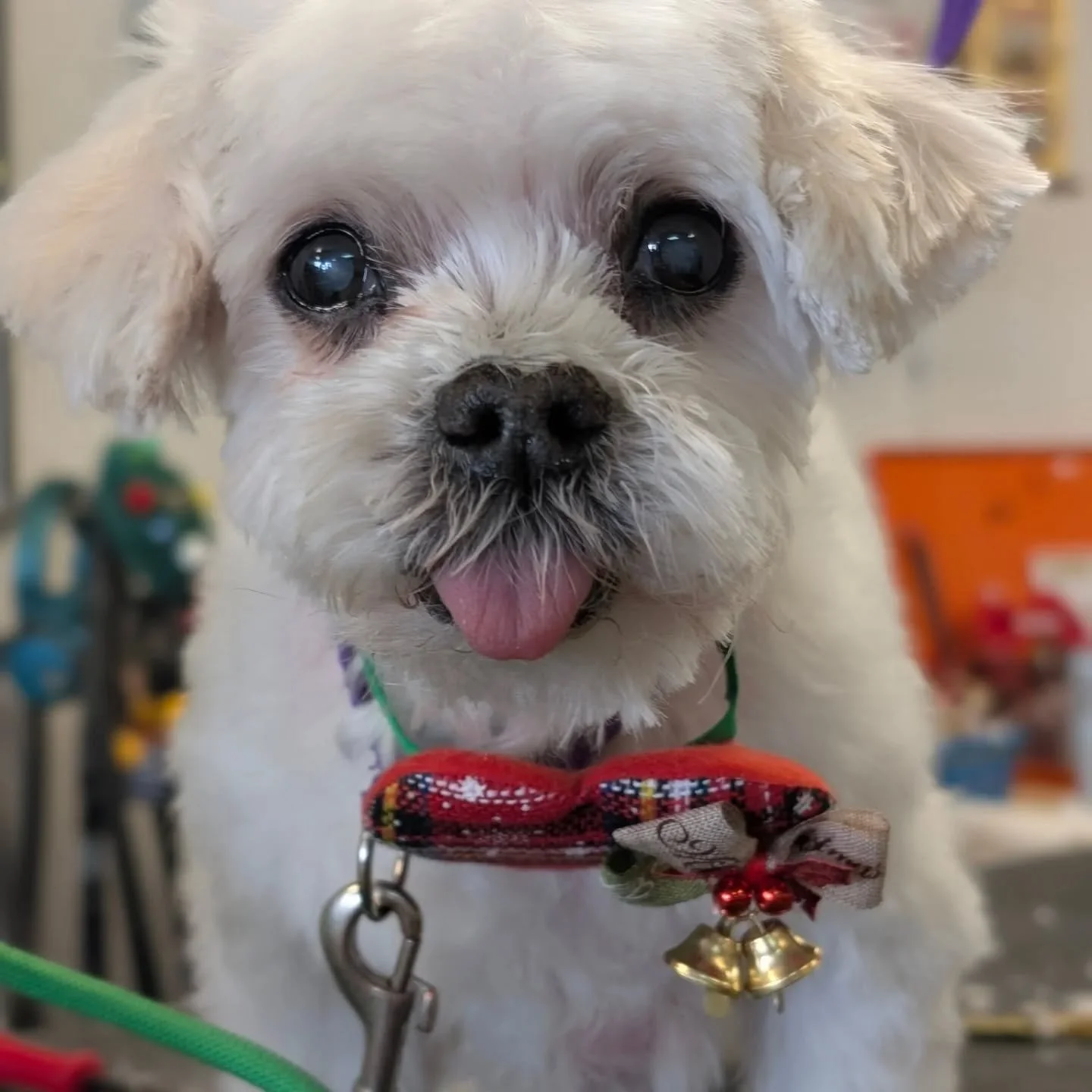 Getting close! Just a few more days left until we call a wrap on 2025!