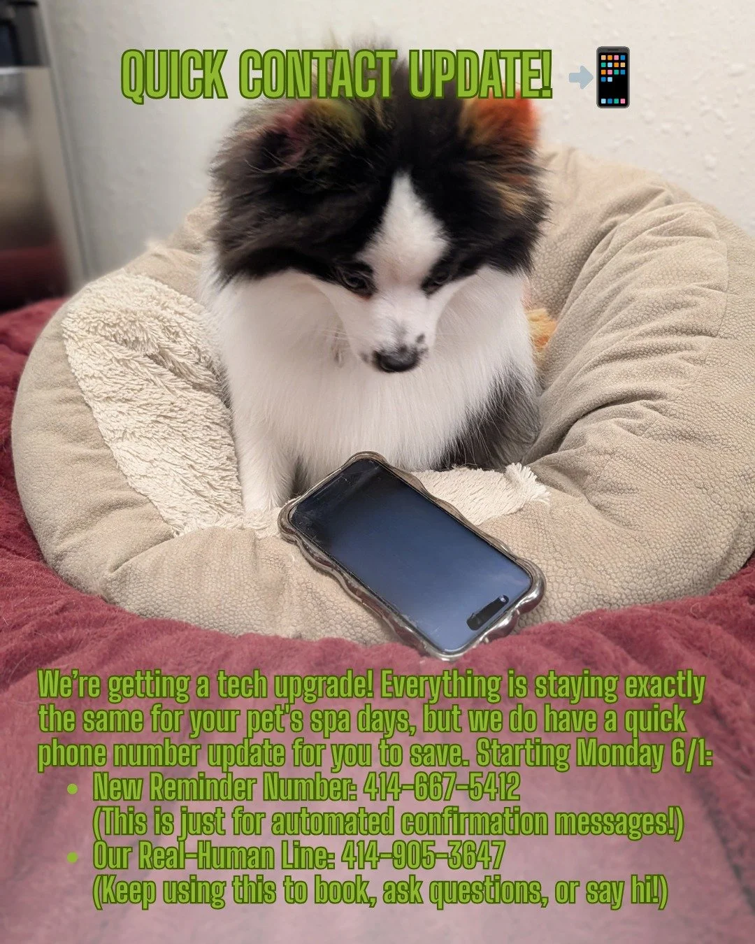 Hey Fancy Pants Friends! We&rsquo;re updating our scheduling software to help our salon run more efficiently this weekend!
We appreciate your patience with us! Just a quick heads-up on our numbers moving forward:
Texts from 414-667-5412 = Automated a