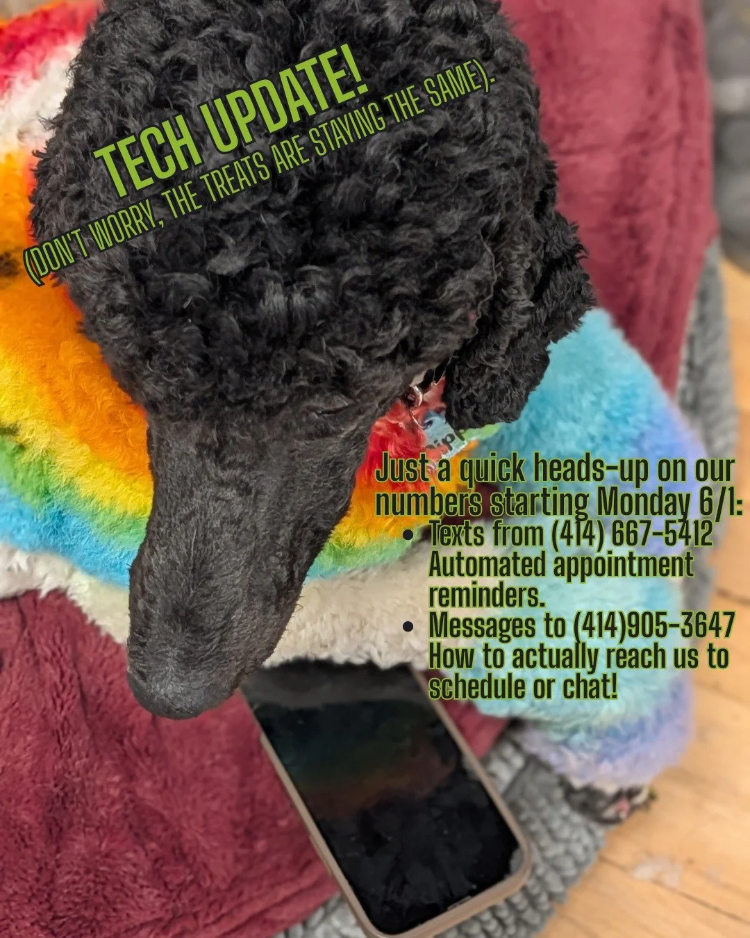 ⚠️ Important Number Info:  Your automated appointment reminders will now text you from 414-667-5412. (You can save this as "Fancy Pants Reminders"!)

However, if you need to schedule, cancel, or ask a question, always text/call us at our us