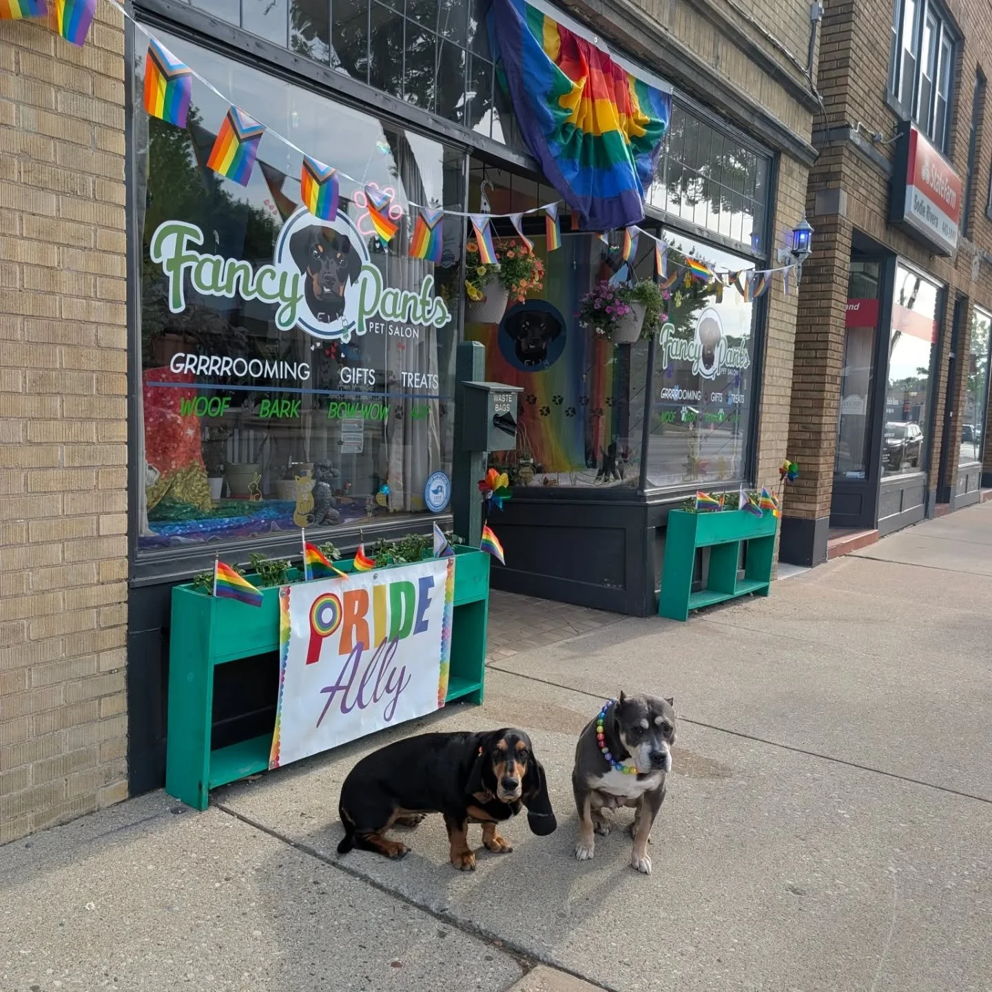 Happy Pride!!!! #fancypantspetsalon #wauwatosa #easttosa #pridemonth #pridepups
