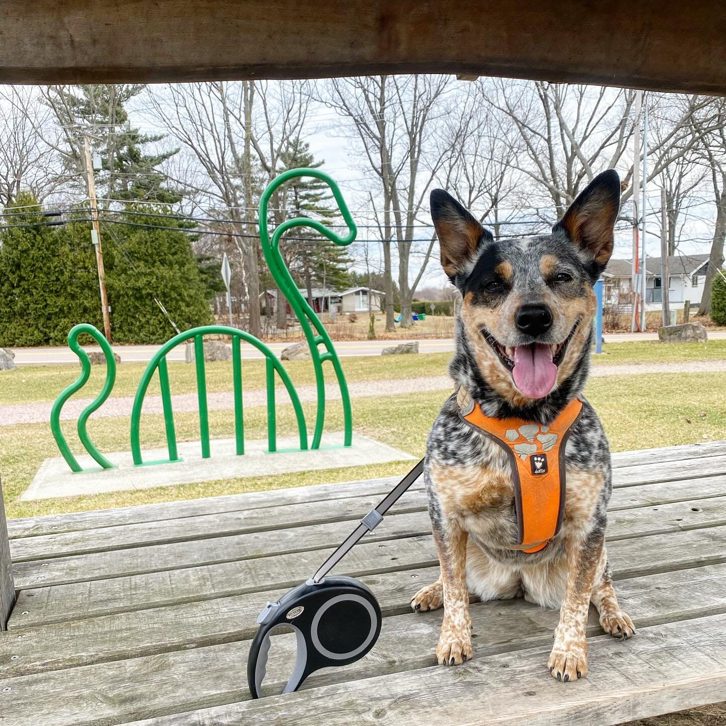 Ruby says Champ is real!