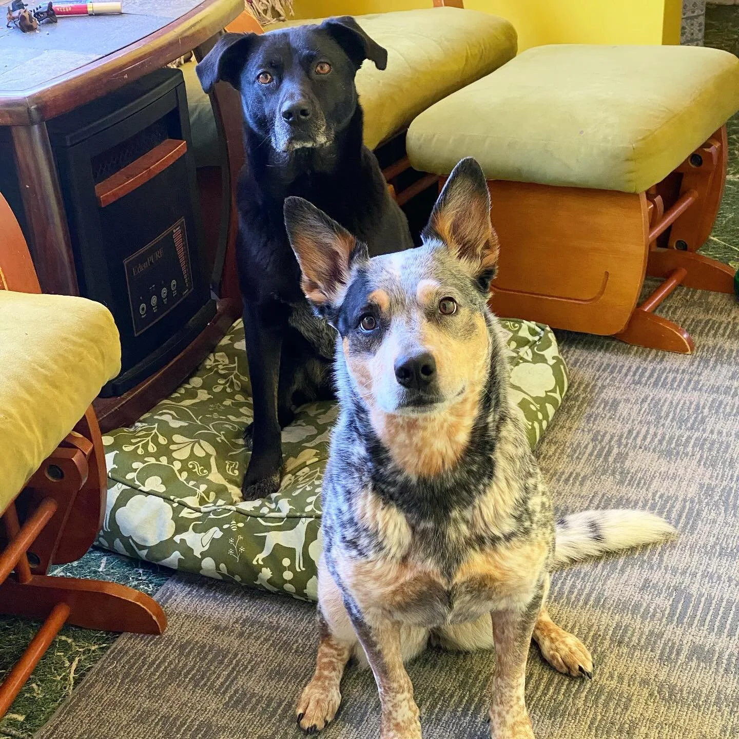 The faces of two girls who think play time being over is silly!