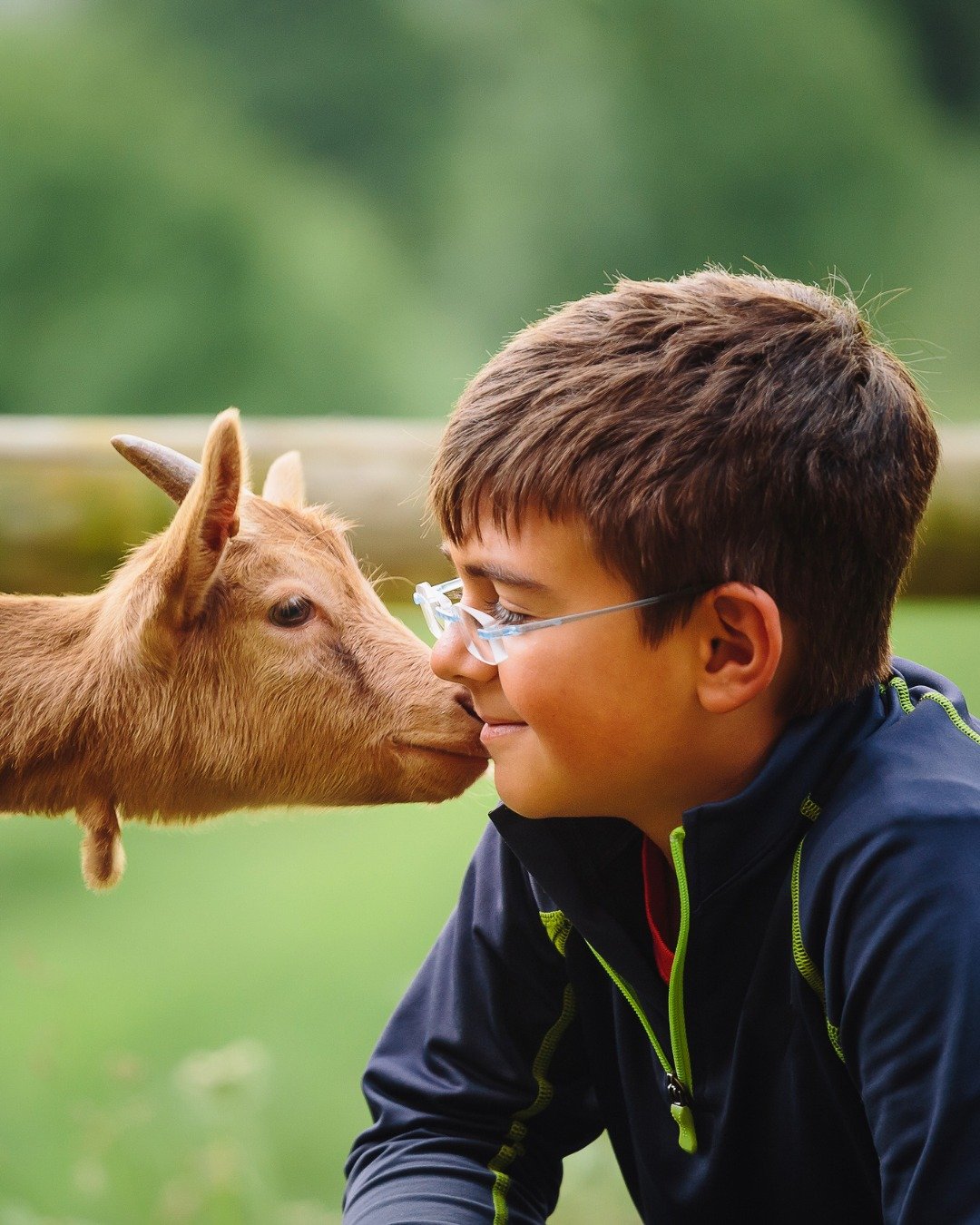 Just 30-45 minutes from Skipping Rock Cottages, Farm on the Lake is your next must-do family outing &mdash; and yes, it&rsquo;s as cute as it sounds! 🐐✨ 

Now open for the season, this charming farm near Owen Sound is home to nearly 200 goats, inclu