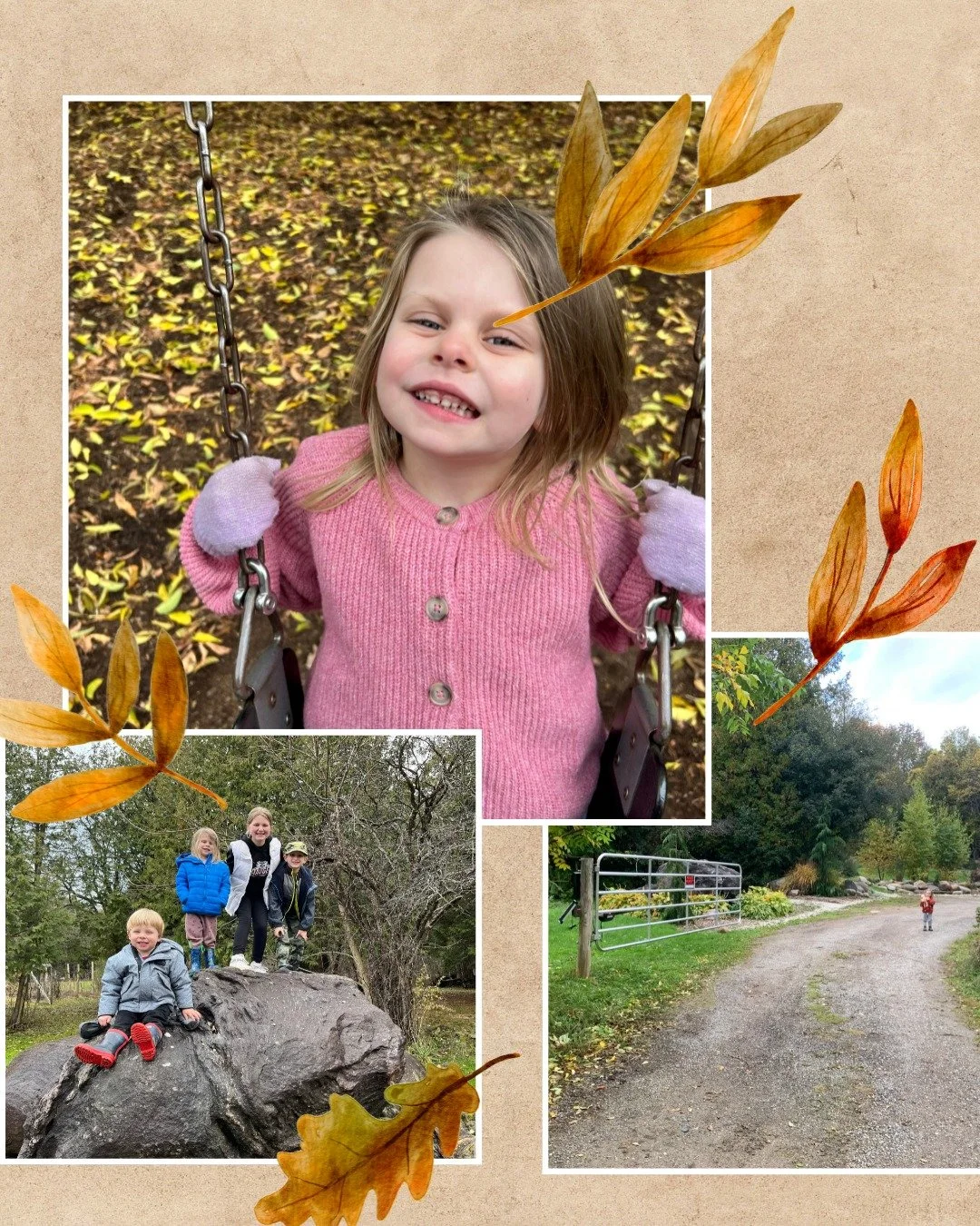 Fall at Skipping Rock is pure magic.
The air gets crisp, the leaves turn fiery shades of red and gold, and adventure is waiting around every corner. 
Hike the Bruce Trail beneath a canopy of colour, wander Meaford’s orchards for apple picking