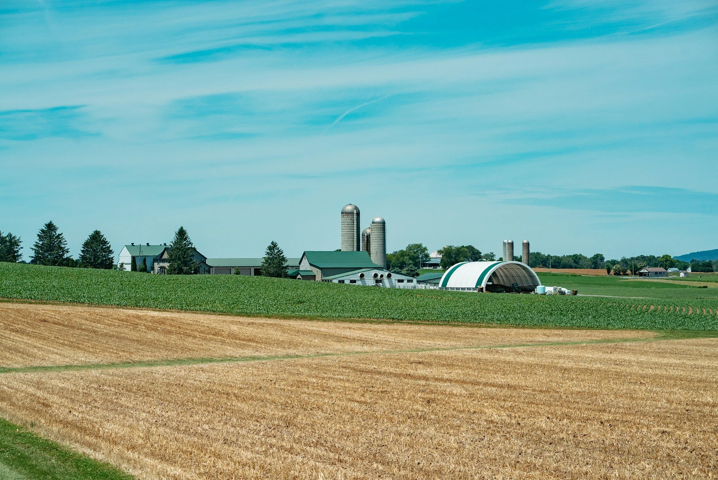 Route 3: A Scenic Country Drive from Guelph to Skipping Rock Cottages