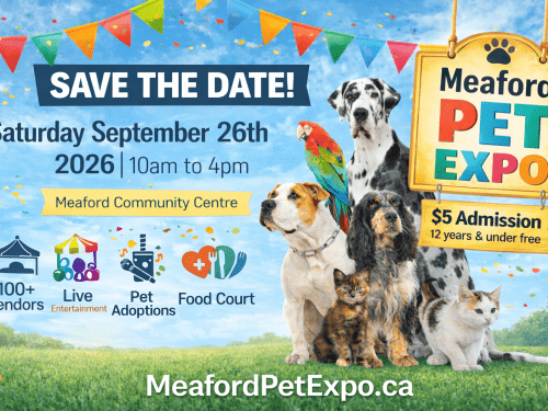 Pet Expo