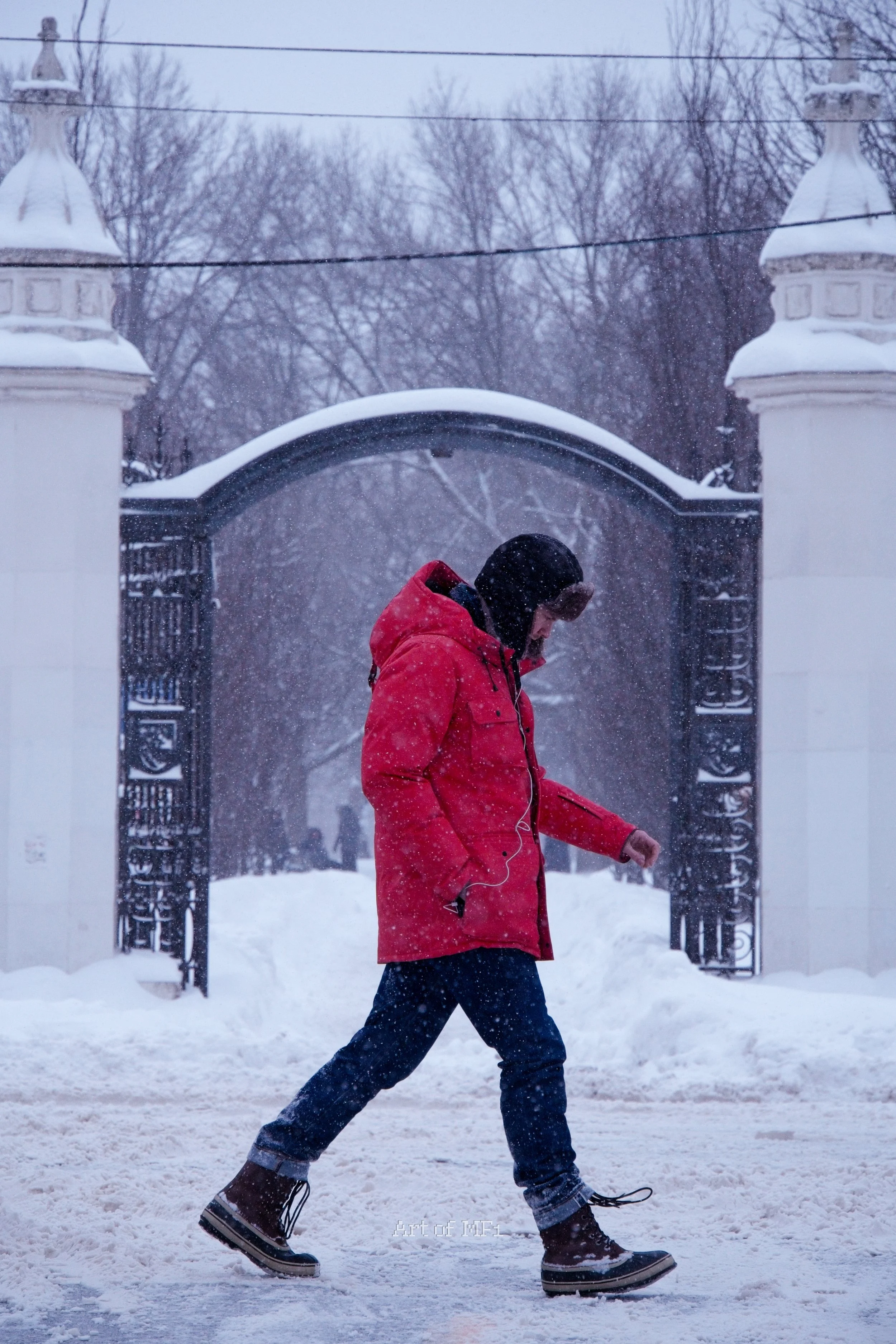 DSC07511  Snow Days Toronto 2025.jpg