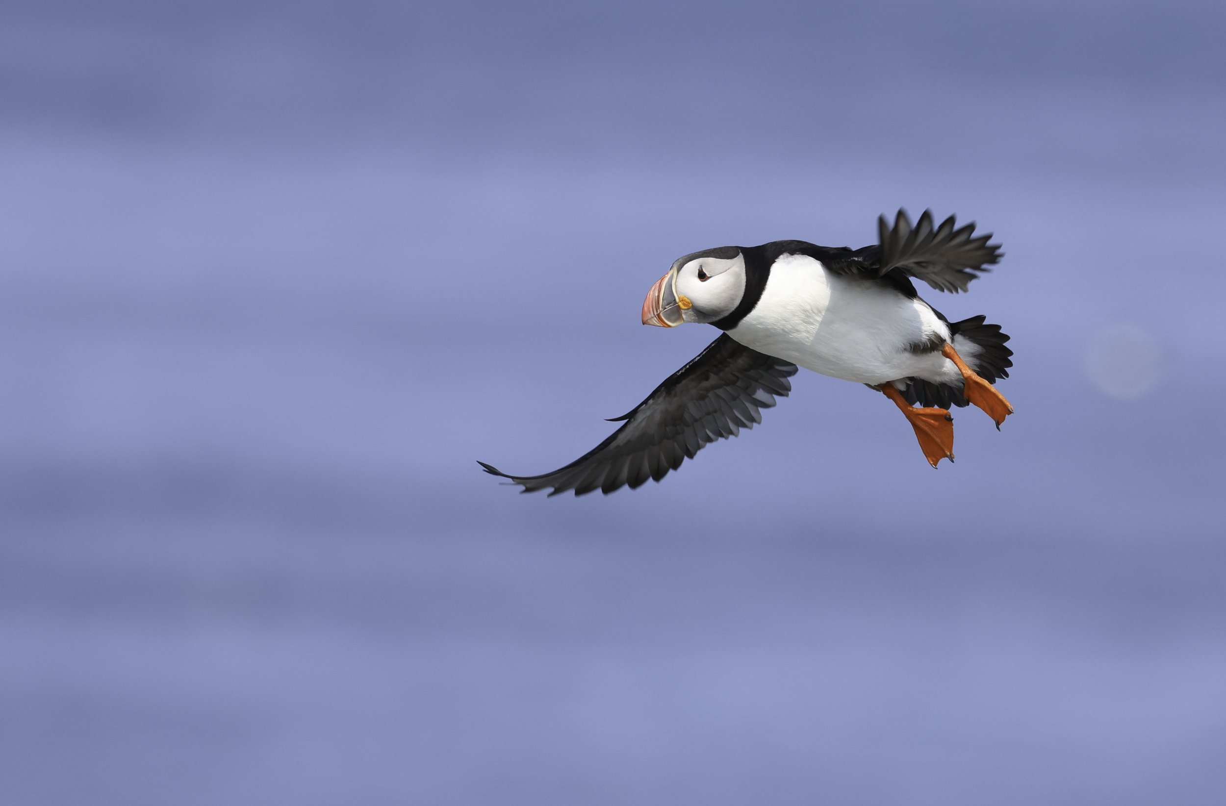 0J7A6518-Edit.jpg