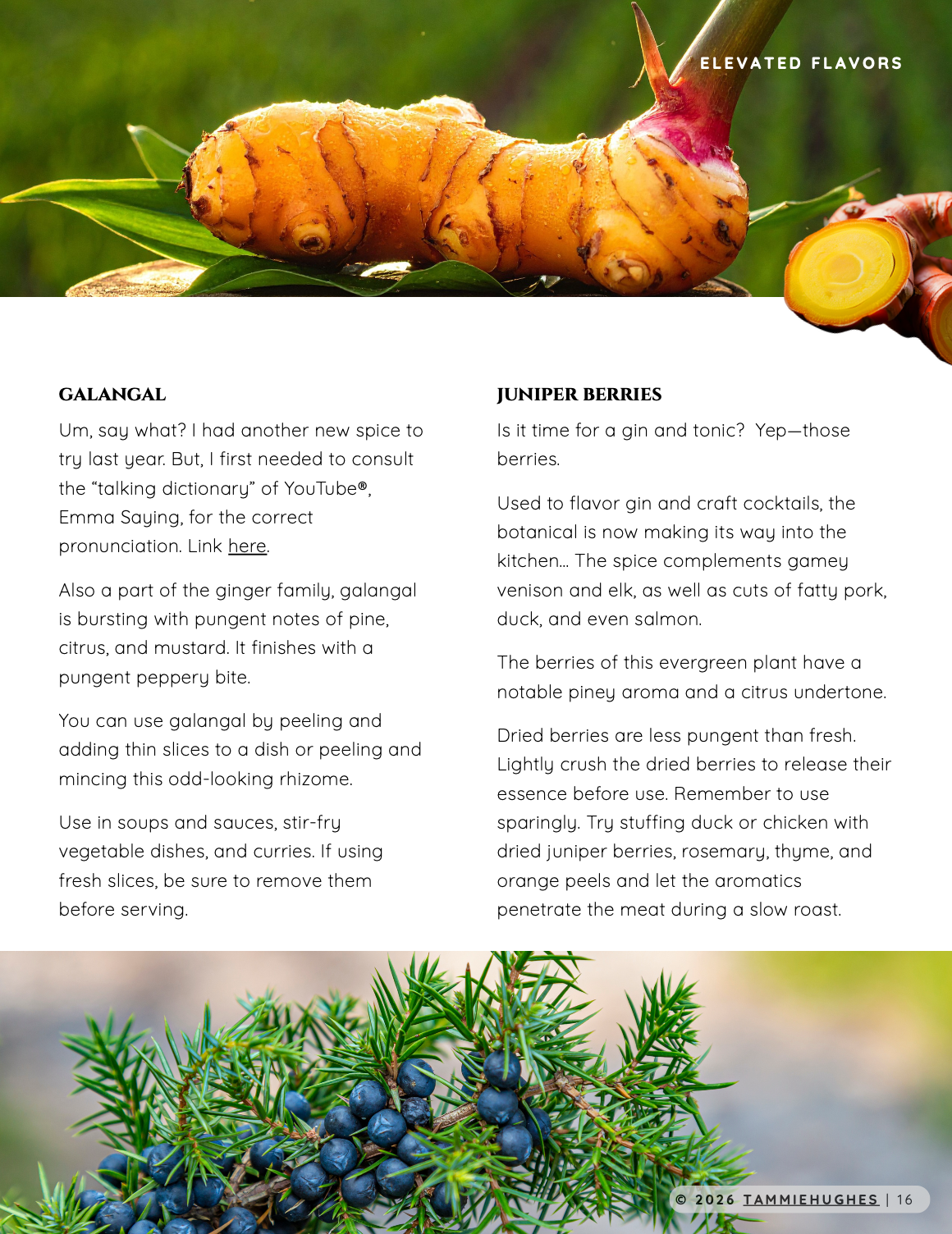 Screenshot 2026-01-05 at 3.37.31 PM.png