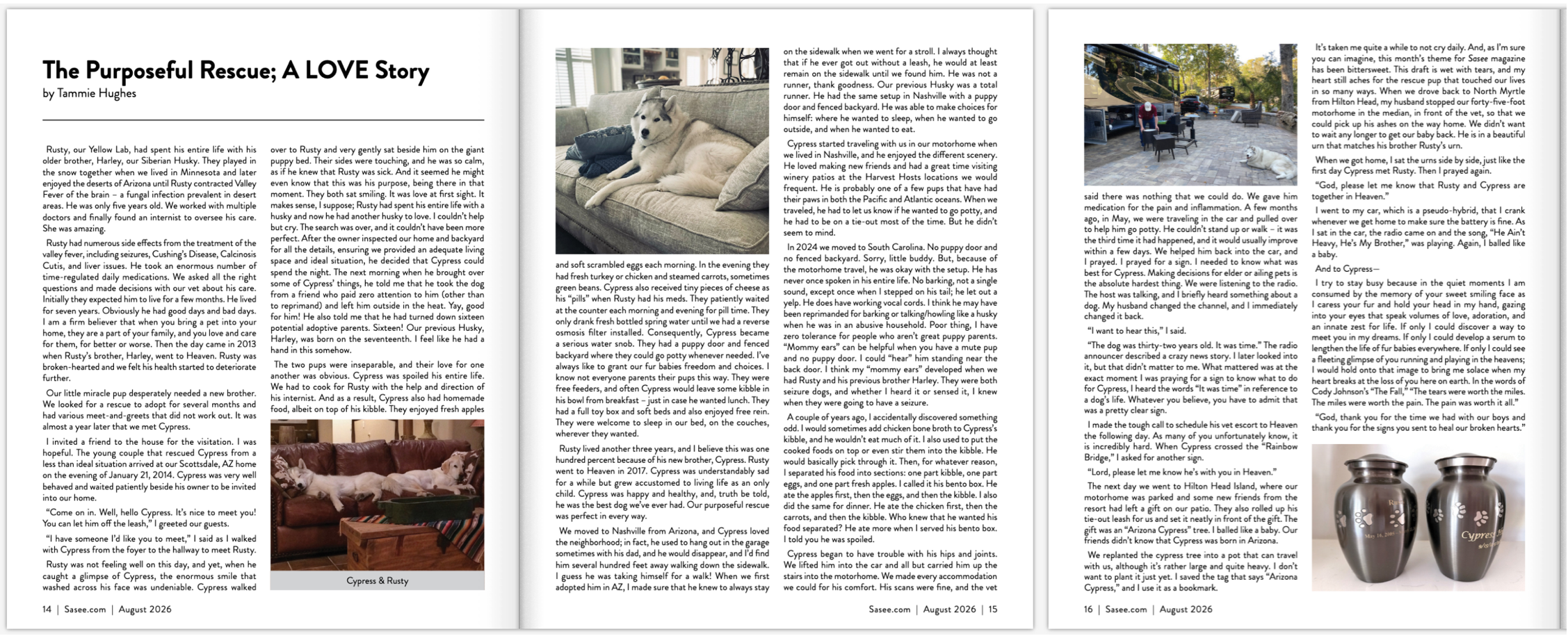The Purposeful Rescue, A LOVE Story