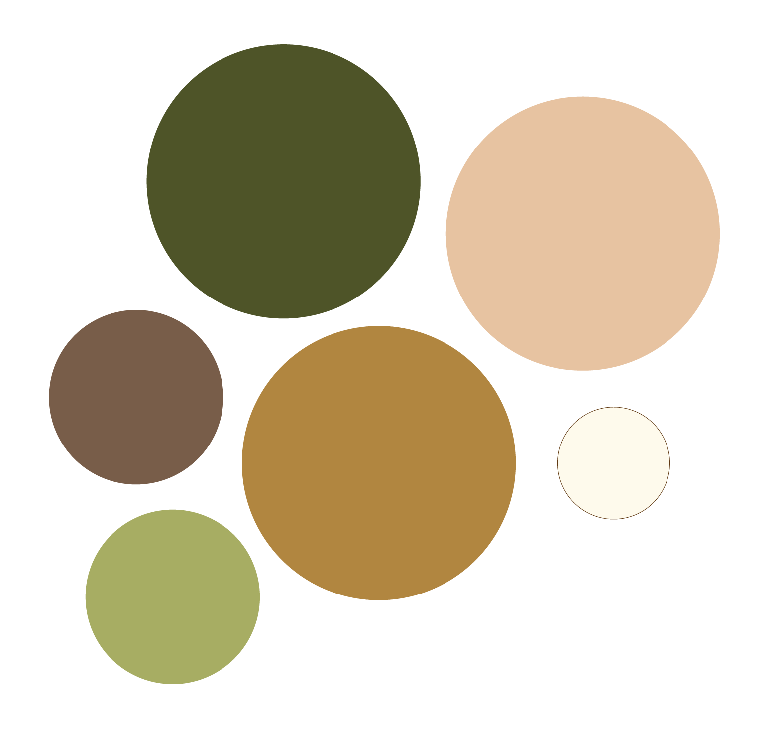 Collection of seven multicolored circles in shades of green, brown, beige, and white arranged in a cluster.