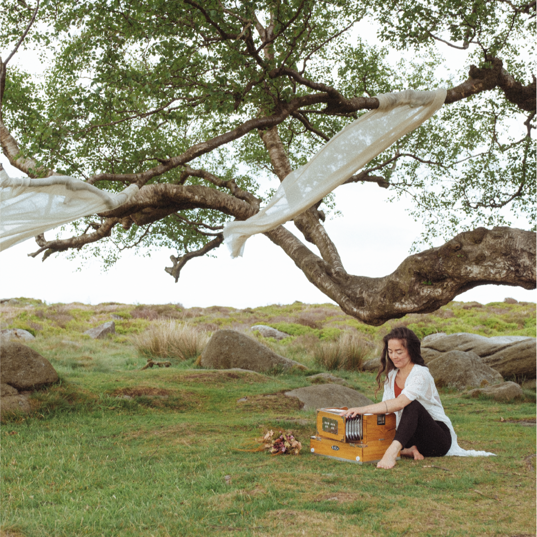 A woman with long dark hair sits on the grass near rocks, playing an autoharp. She is outdoors under a large tree with sprawling branches and white fabric tied to some of the branches. A bouquet of flowers is on the ground nearby.