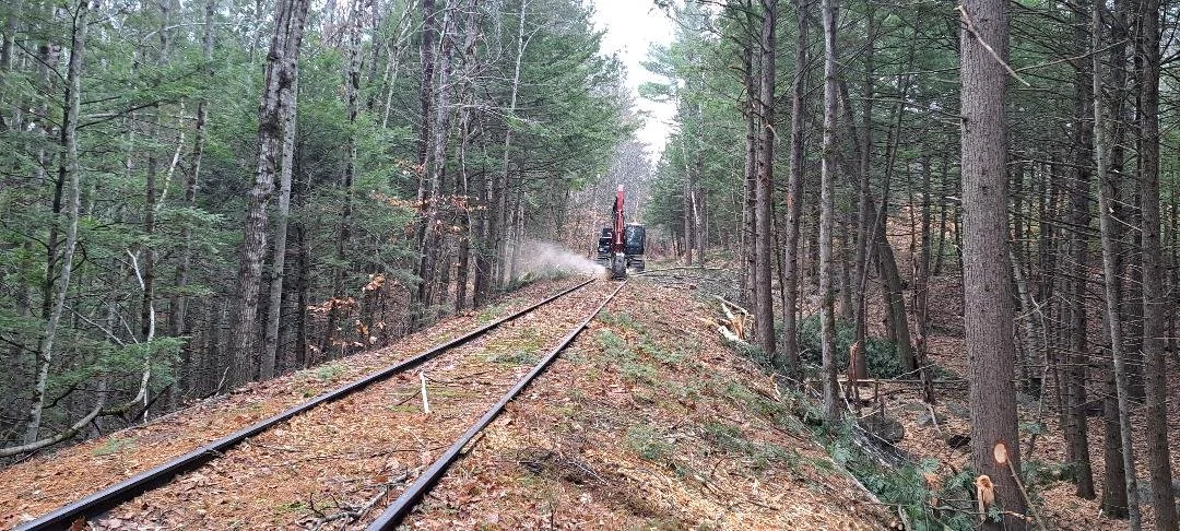 Ossipee corridor cut 5.jpg