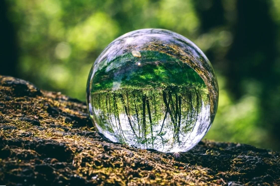 Reflection of a green forest in a glass sphere on a moss-covered tree branch.