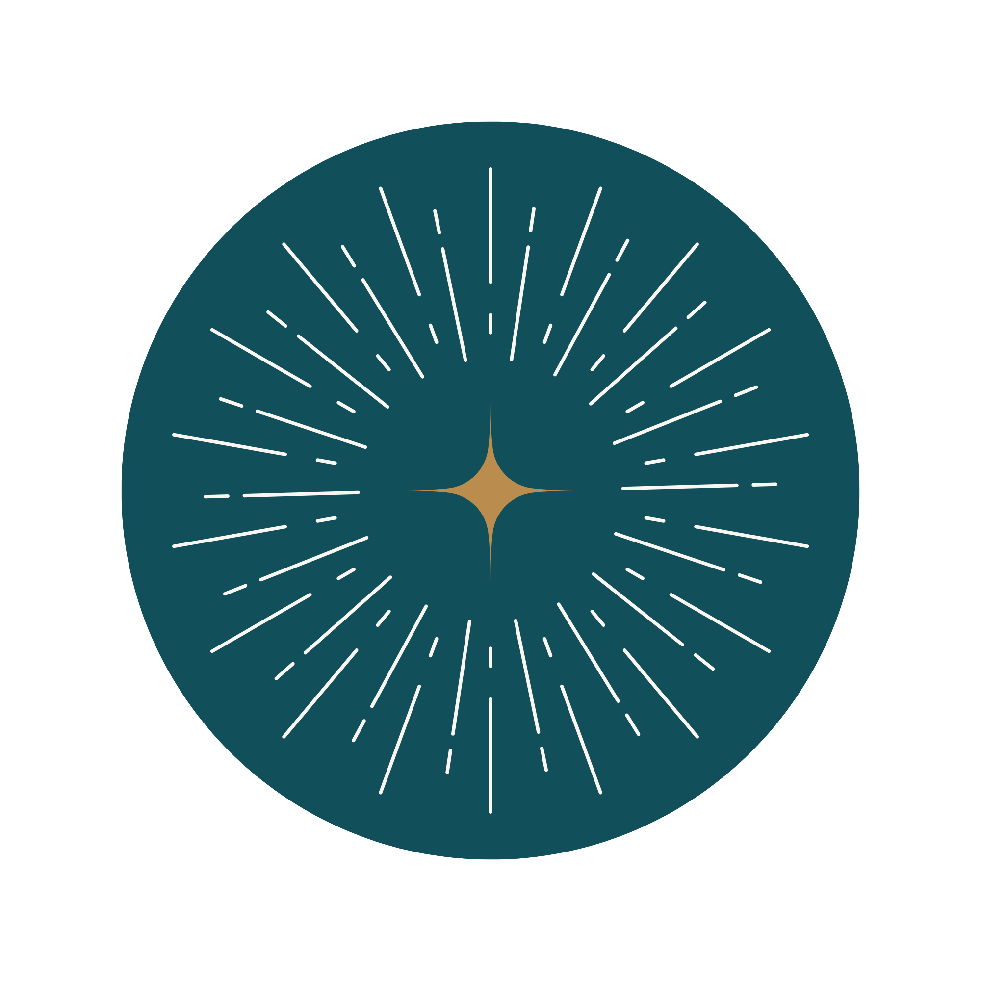 A stylized, abstract illustration of a kiwi fruit, with a dark teal outer skin and a brown center, featuring radiating white lines representing the fruit's interior pattern.