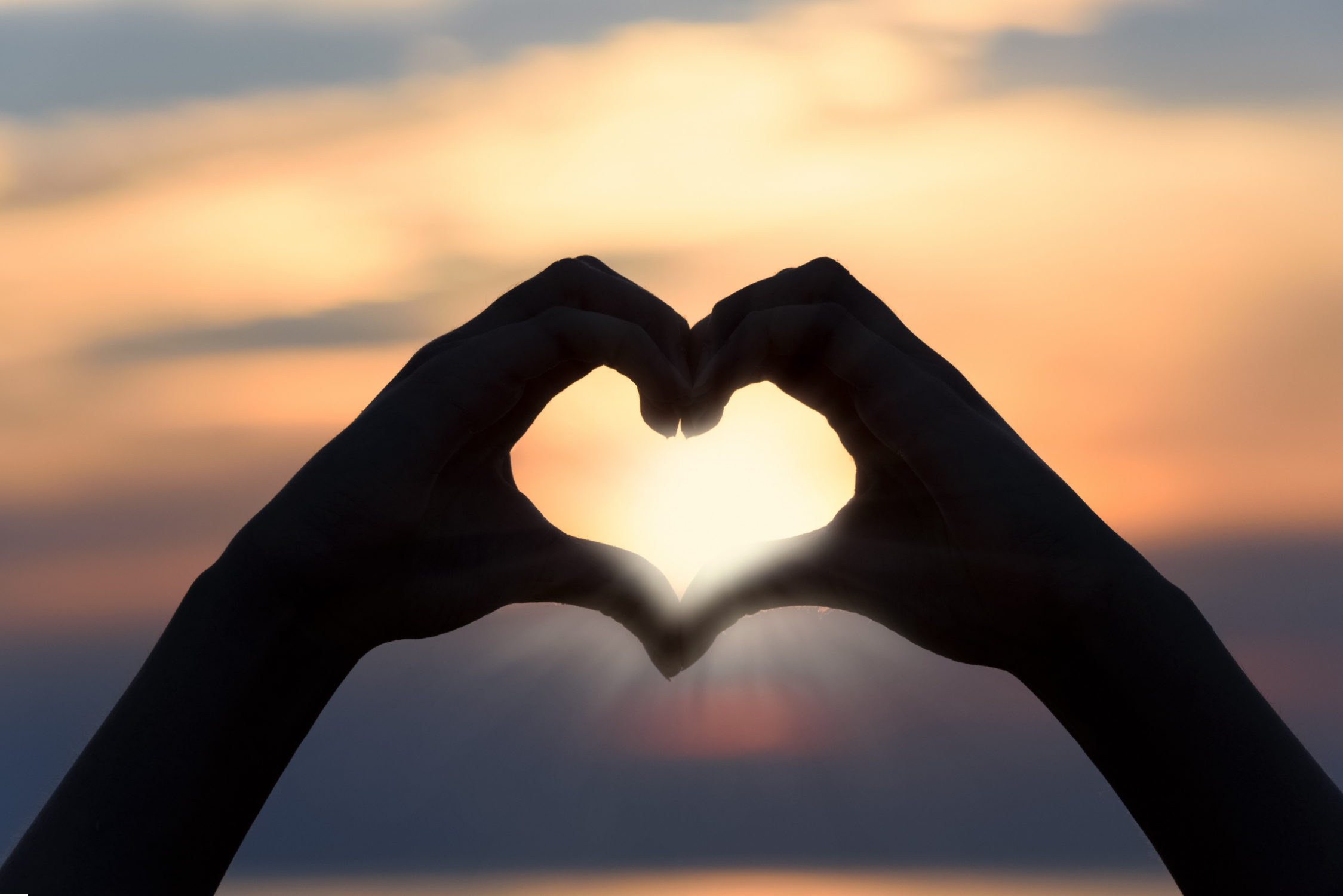 Heart Hands.png
