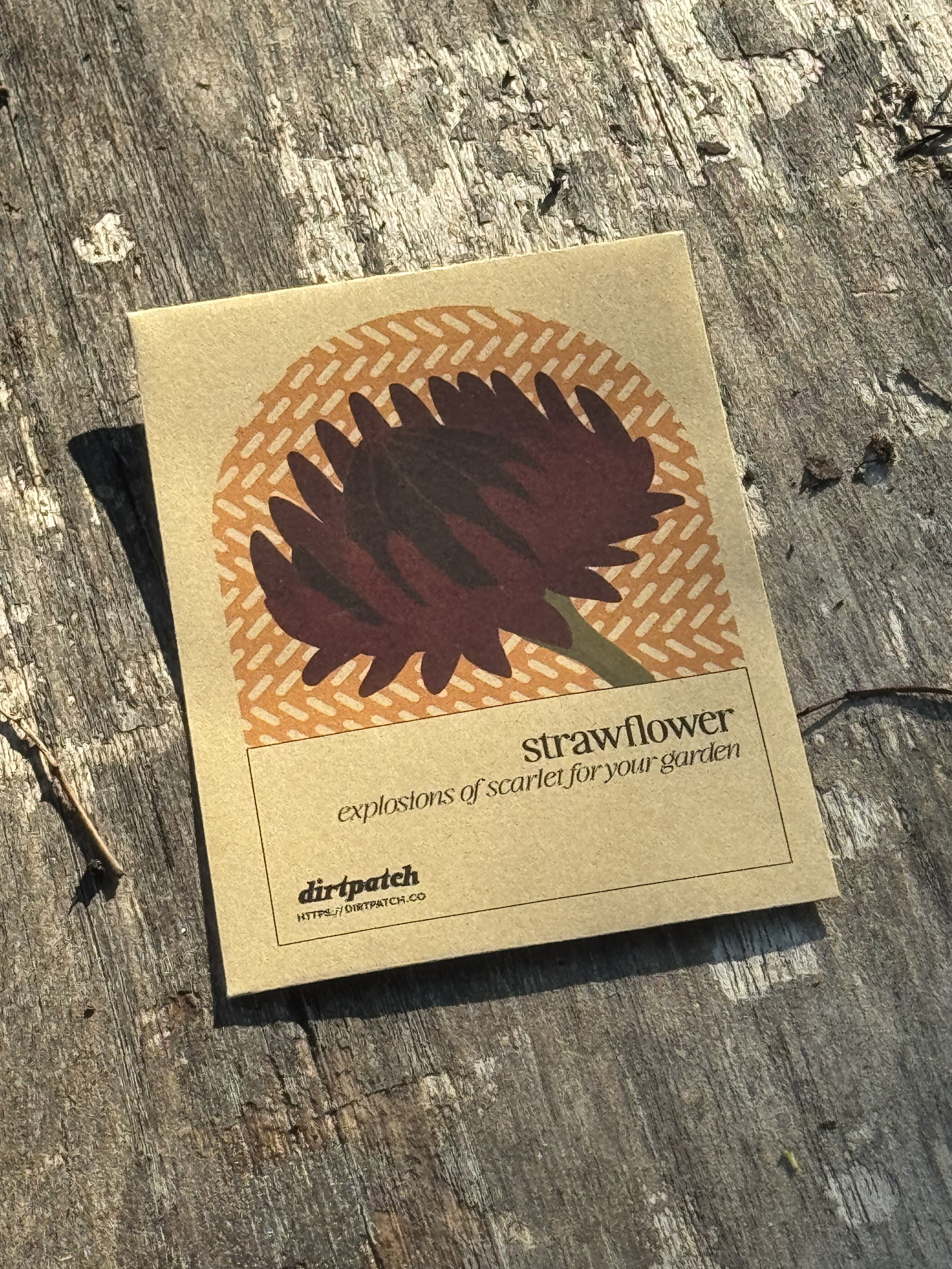 Strawflower (Deep Red)