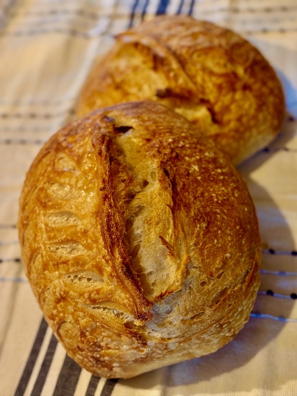 Butter Infused Sourdough Loaf