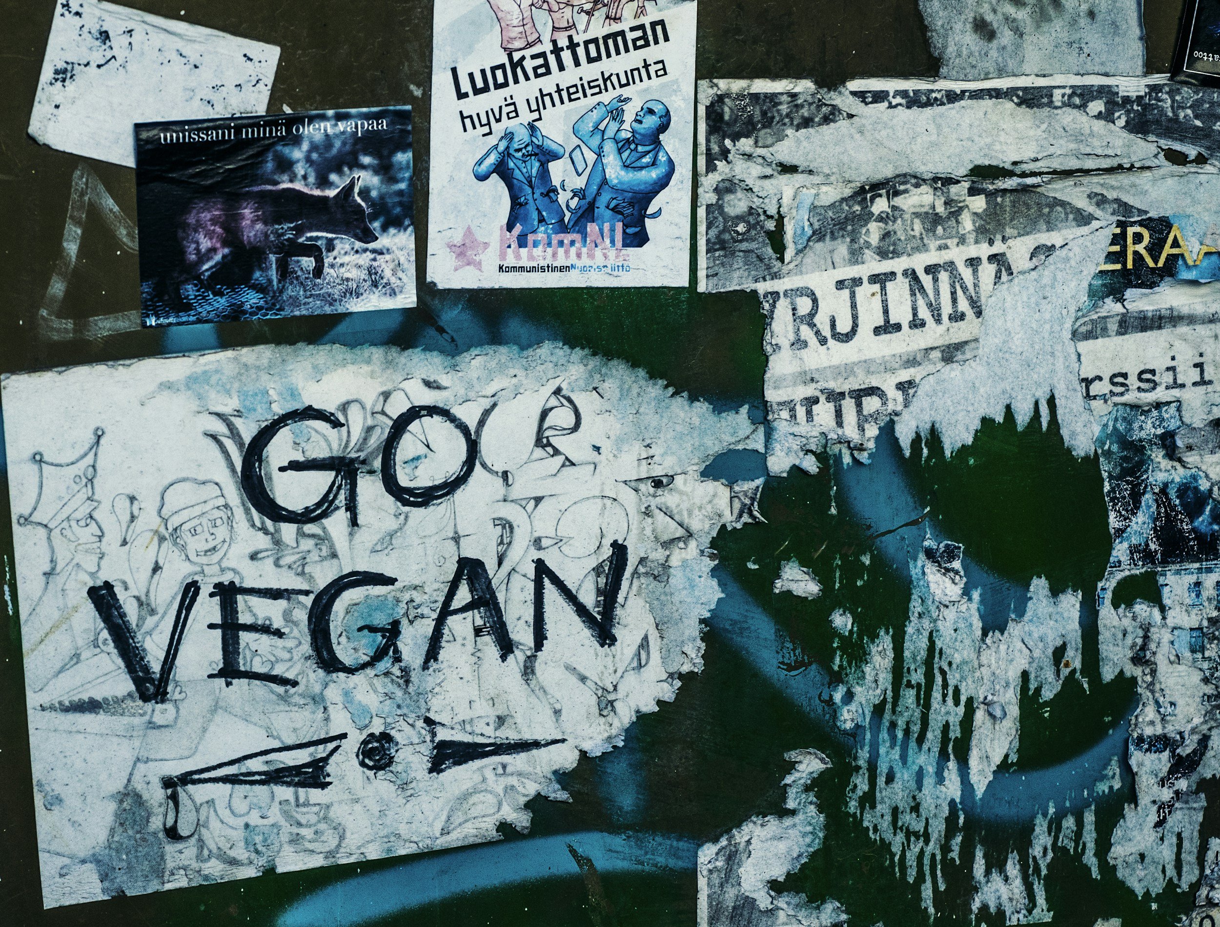 Veganism is not about superiority, but rejecting hierarchy altogether