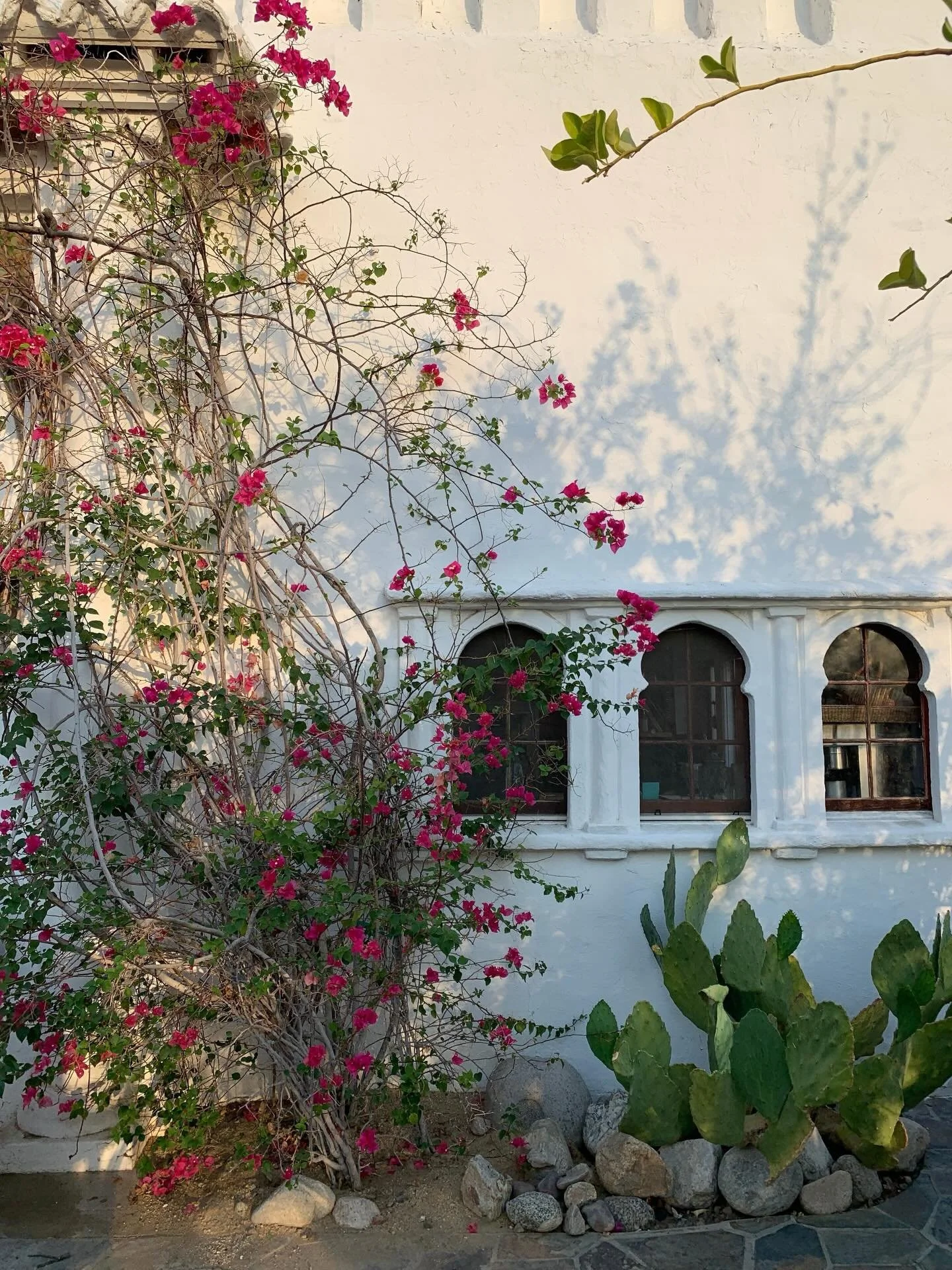 The quiet romance of Korakia Pensione 🌿
In the heart of Palm Springs, this retreat blends Mediterranean ease with Moroccan soul. Originally built to recreate the essence of Tangier in the California desert, the property still carries that same sense