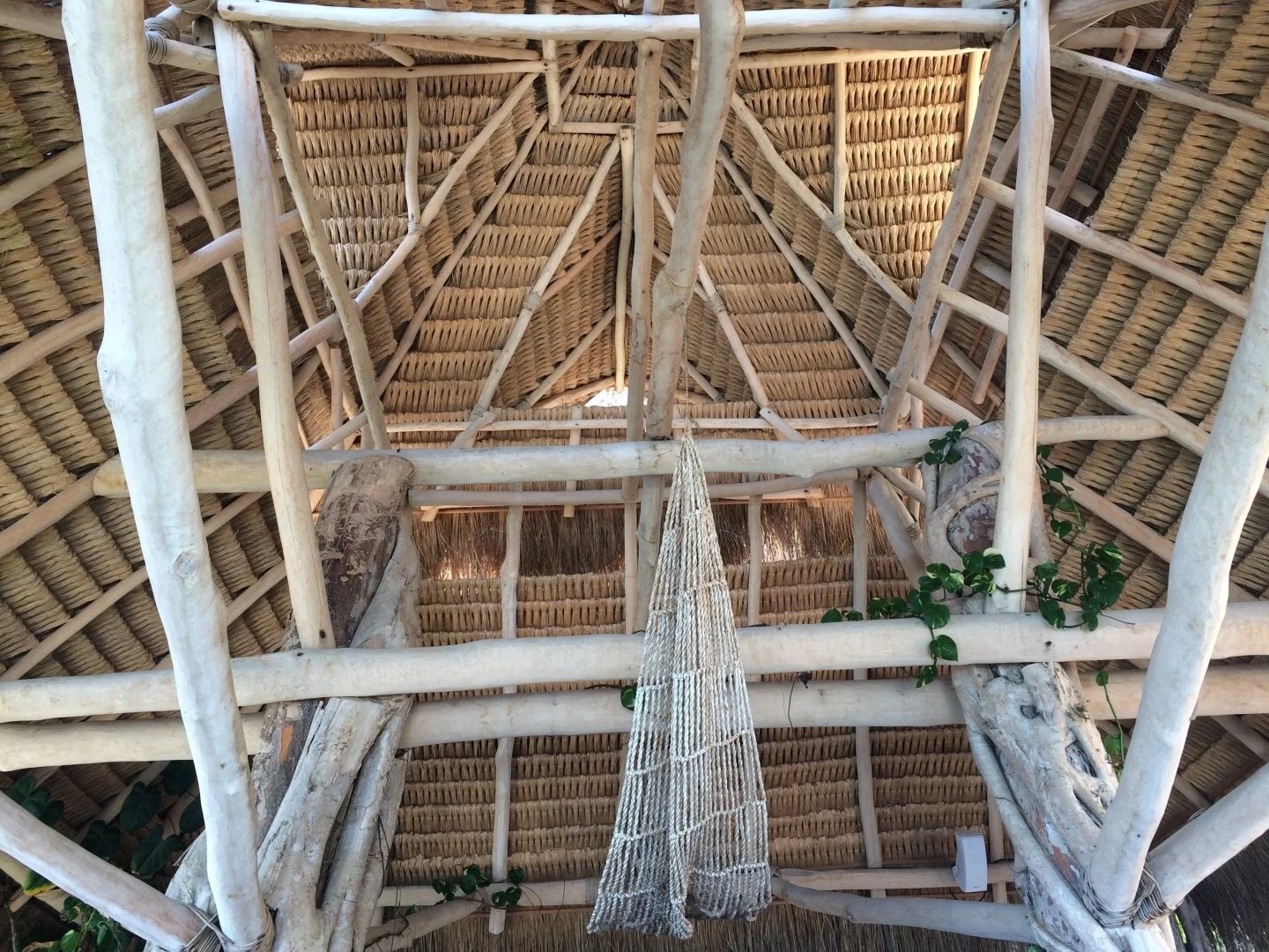 Tropical architecture will always make me stop. We had lunch under this thatched roof in Mexico, and I love how in touch it made us feel with the surroundings. Using local, natural materials brings so much life into a project.
