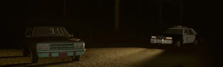 Two vintage police cars parked in a dark, wooded area at night.