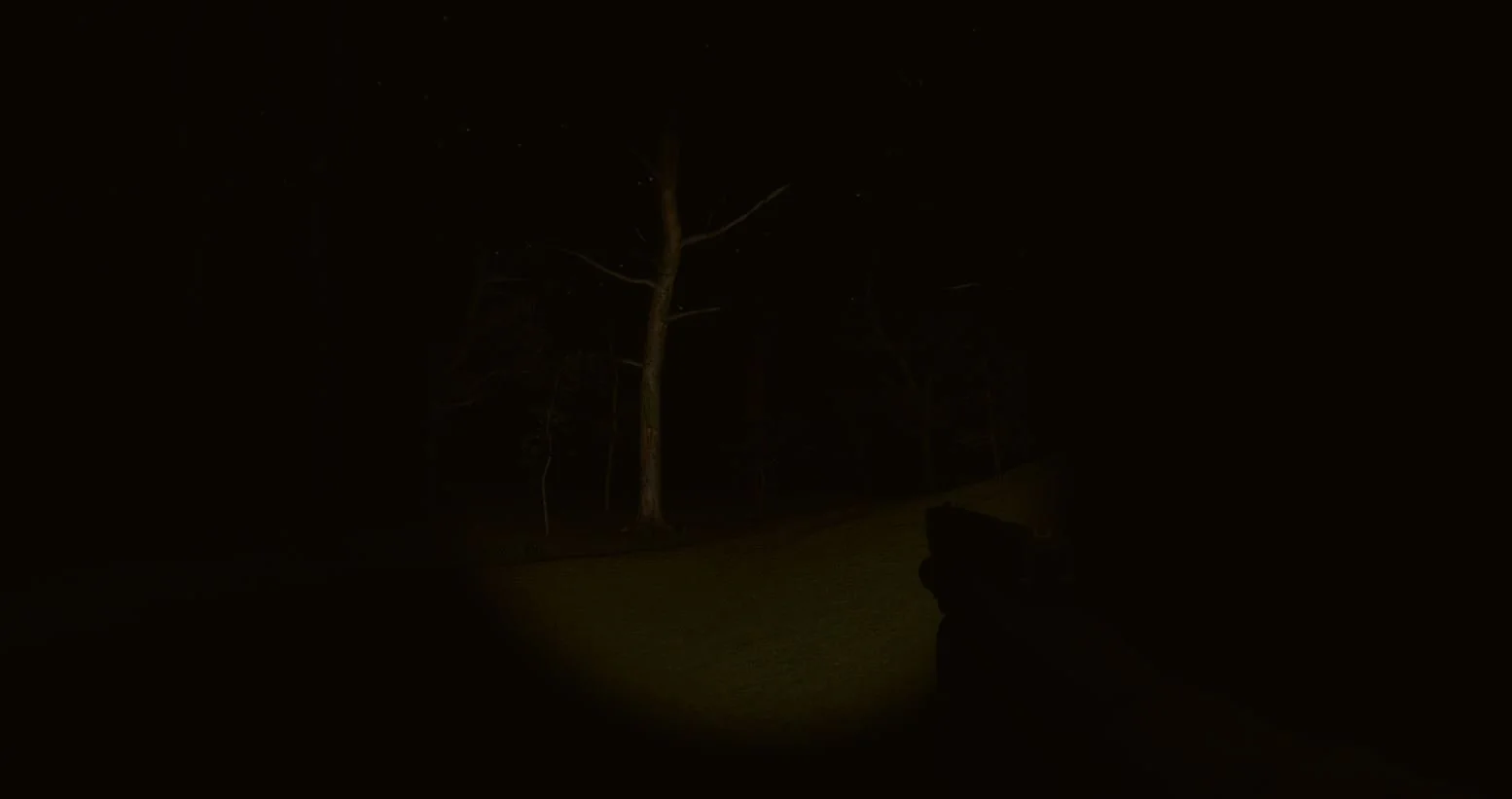 A dark nighttime scene viewed through a flashlight or spotlight, illuminating a tree with bare branches in the distance.