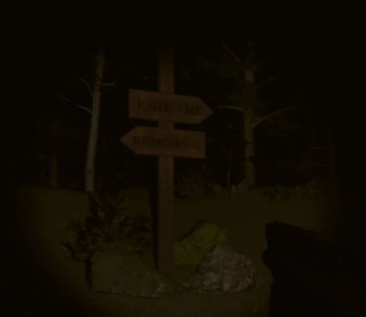 A wooden trail sign at night in a wooded area, with two arrows pointing in opposite directions.