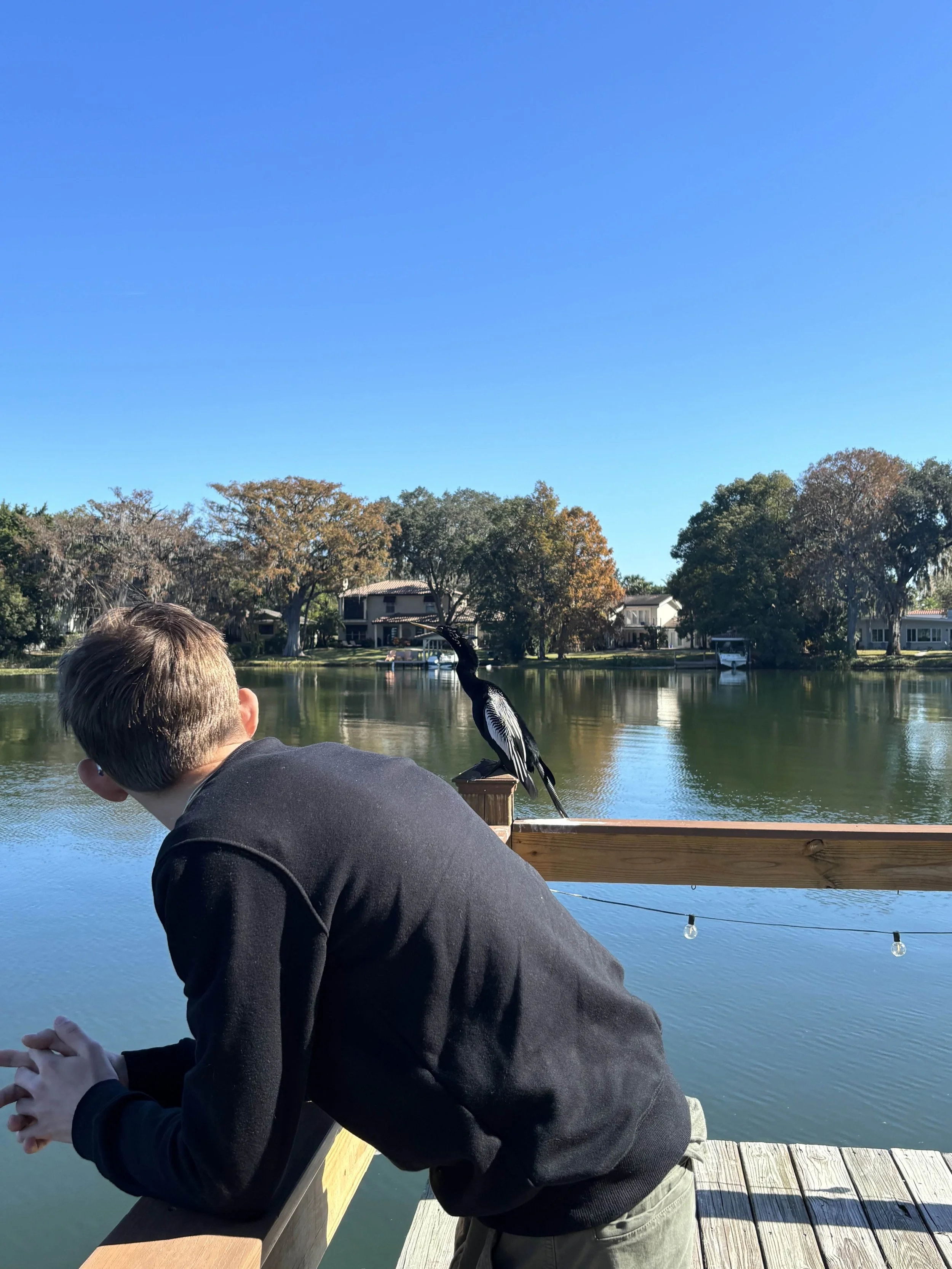 A young boy leaning on a wooden railing of a dock, looking out over a lake with a bird perched on the railing nearby, and a backdrop of houses and trees with fall foliage under a clear blue sky.