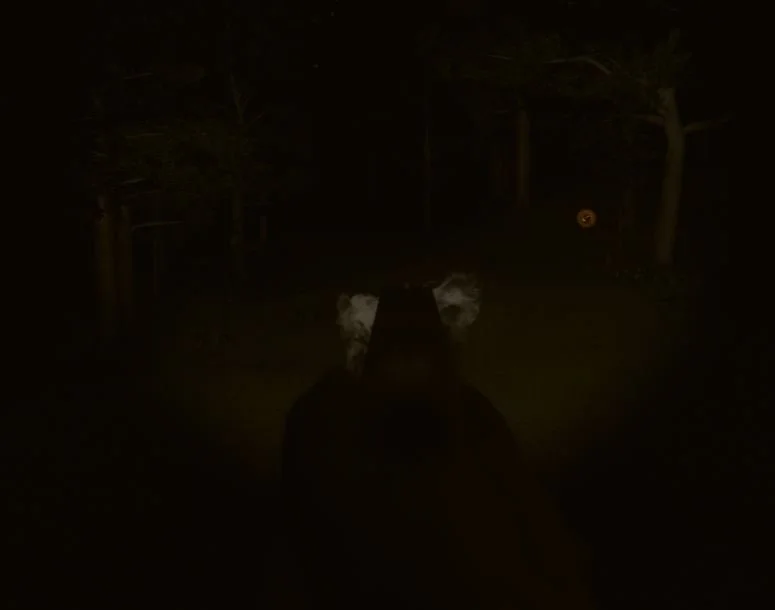 Nighttime scene viewed from behind a person aiming a gun with smoke coming from the barrel, outdoors among trees, with a glowing object in the distance.