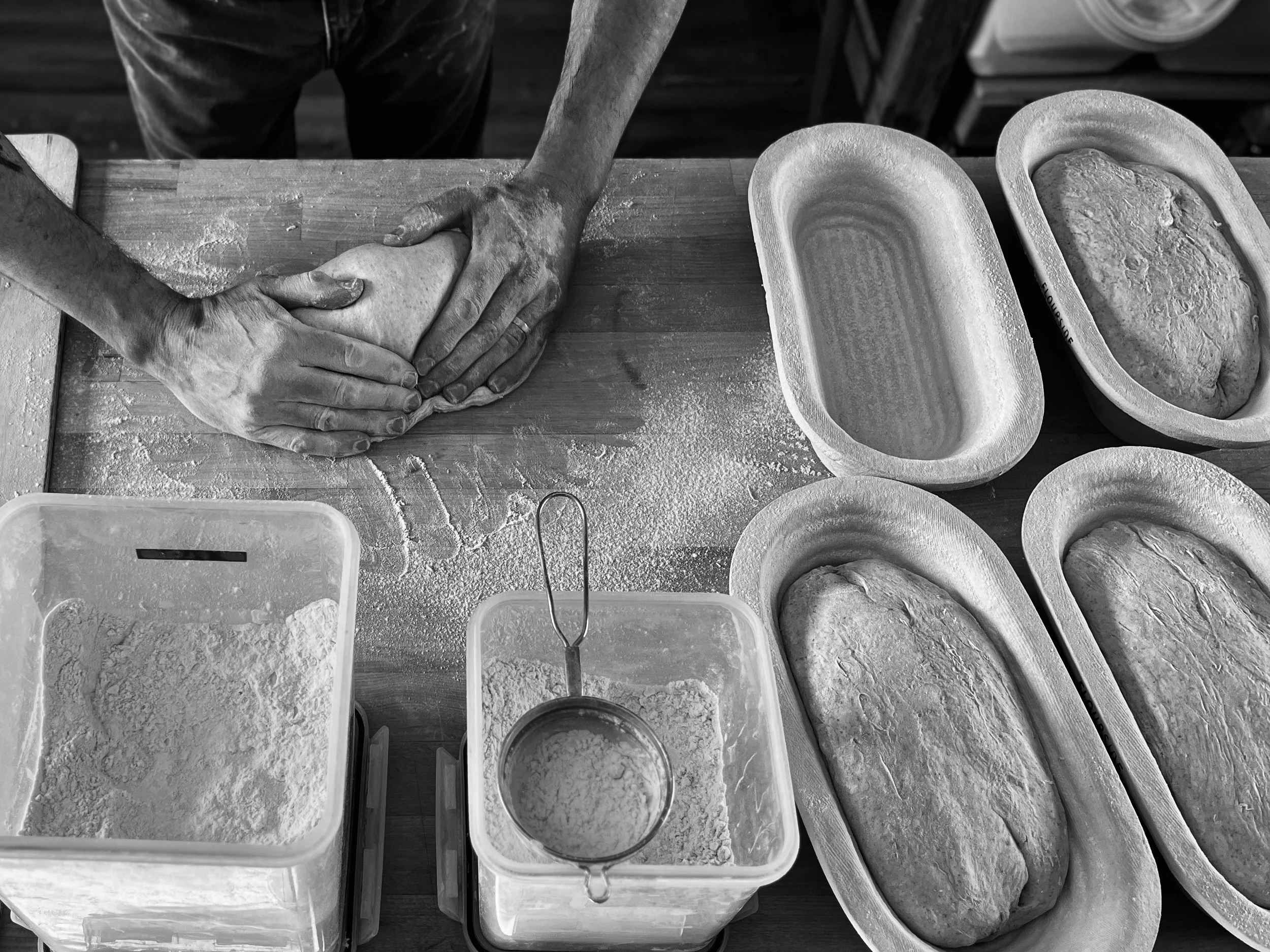 Black and white photograph of hands shaping sourdough bread
