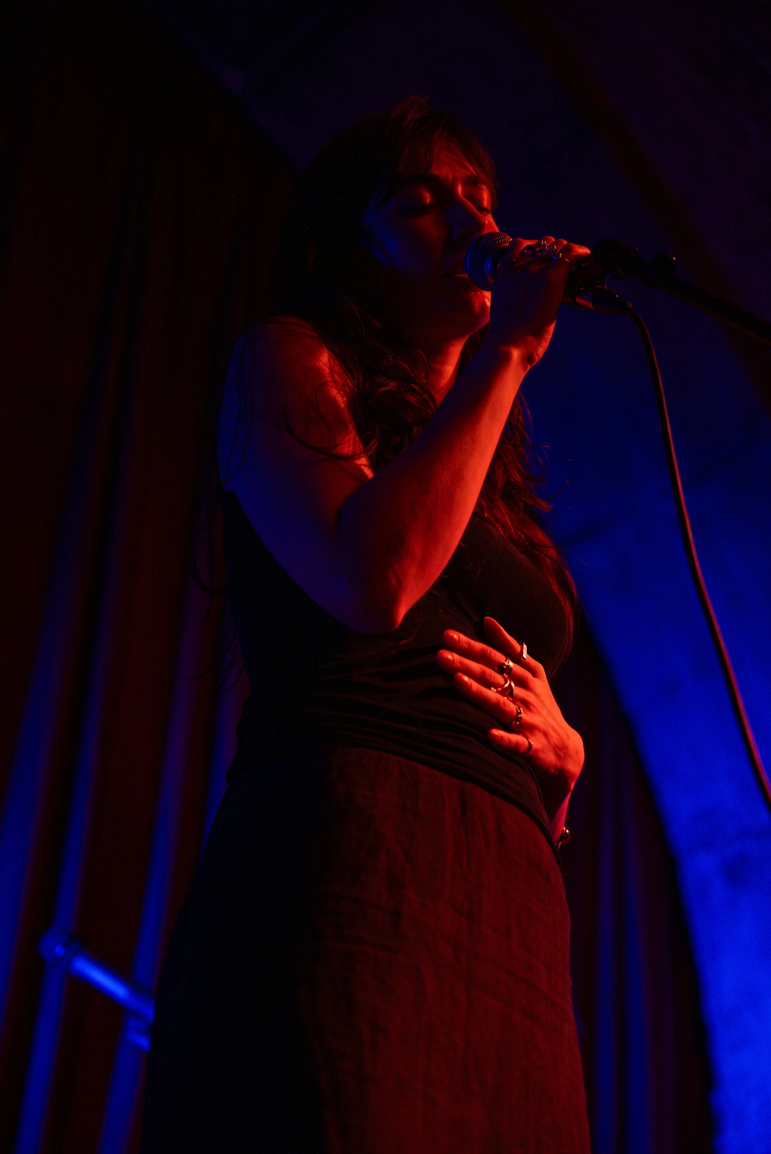 DSC01238.jpg