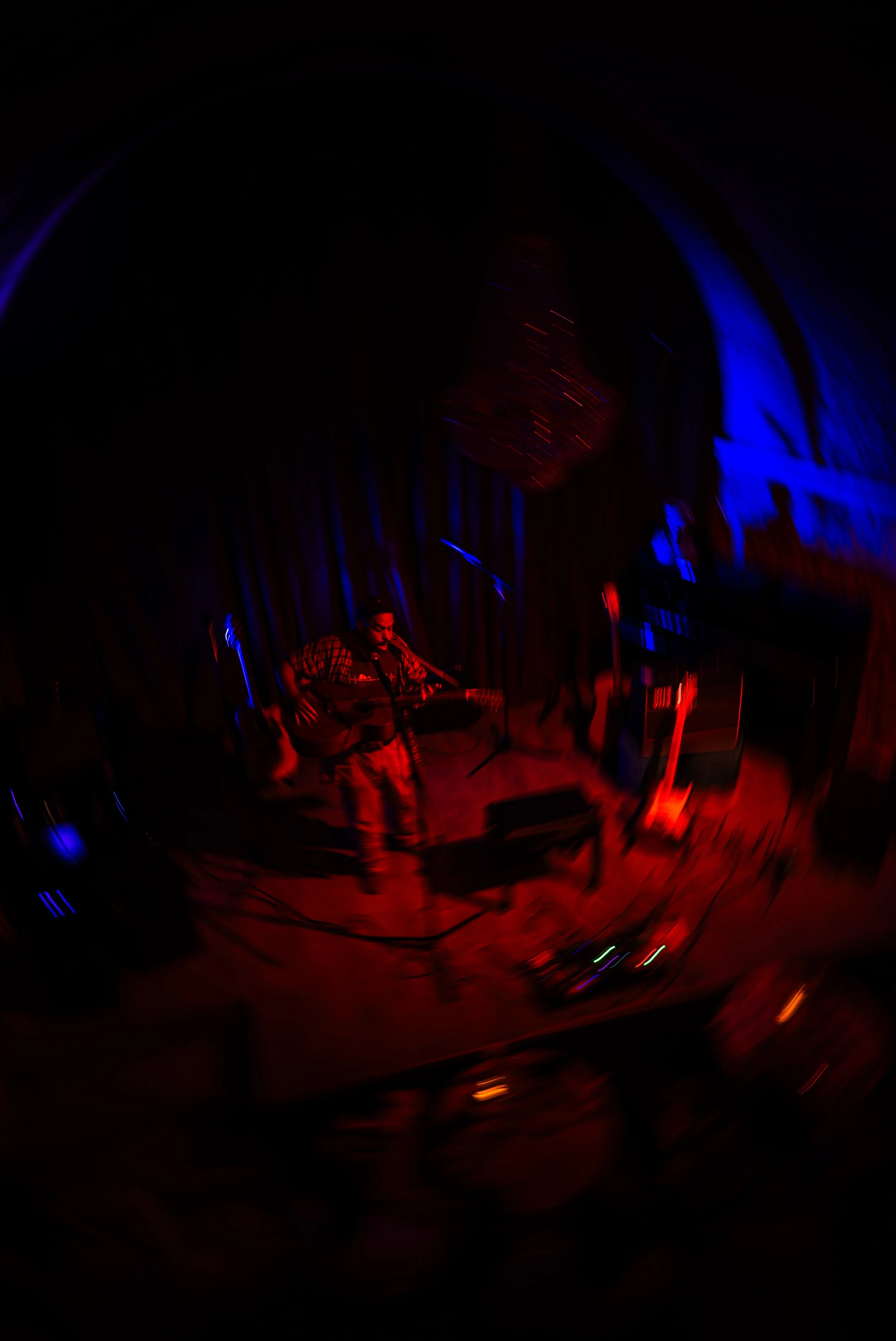 DSC01530.jpg