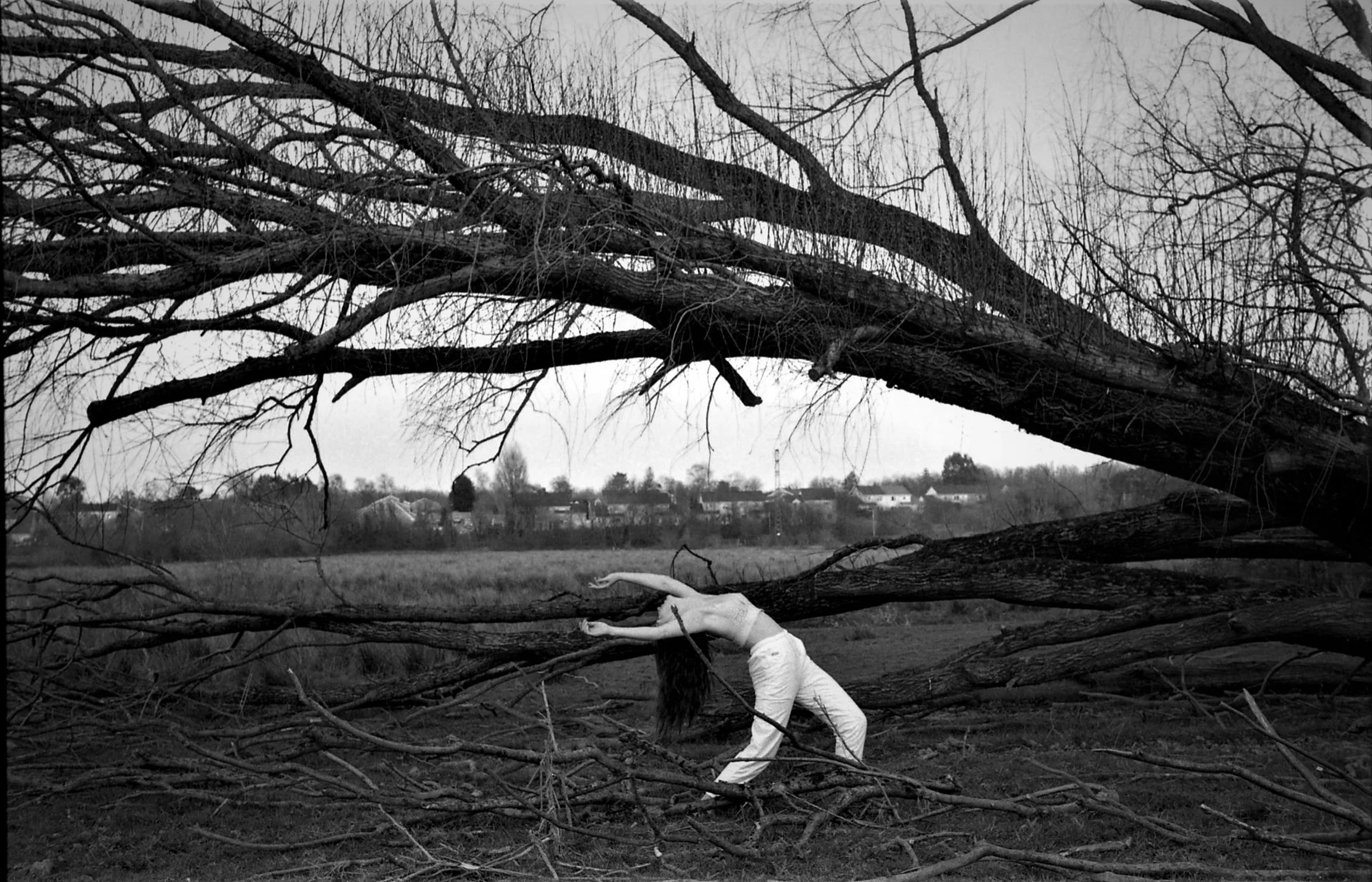 Bereft of Wet and Wildness (2021)
