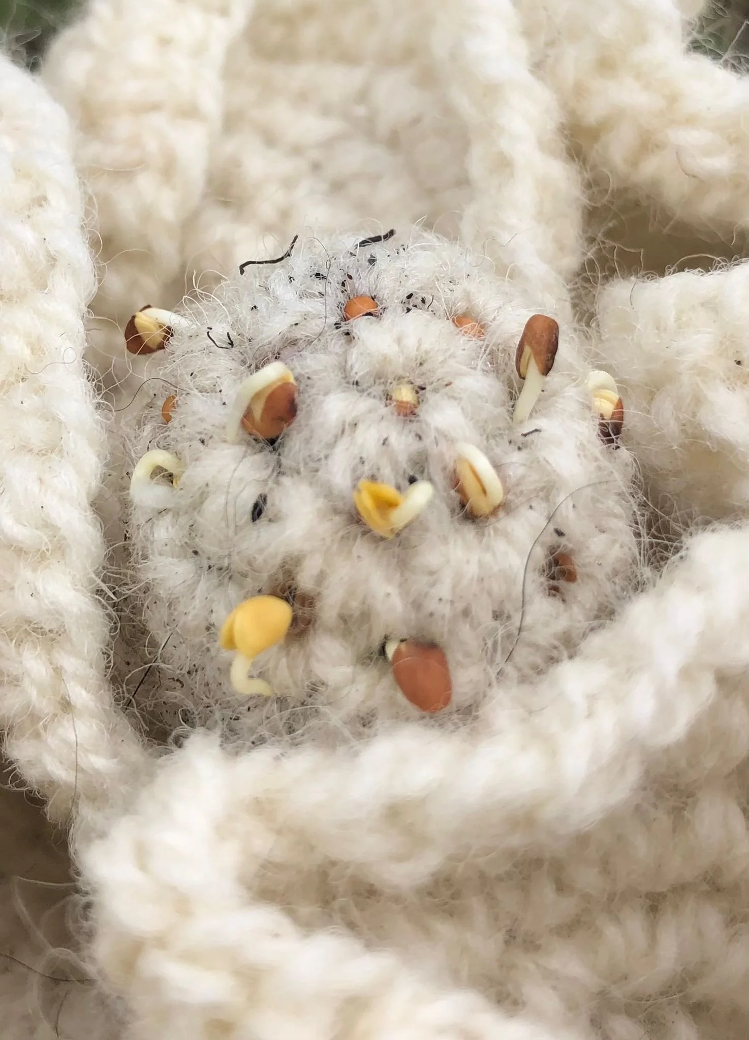Soilwoven (2024)