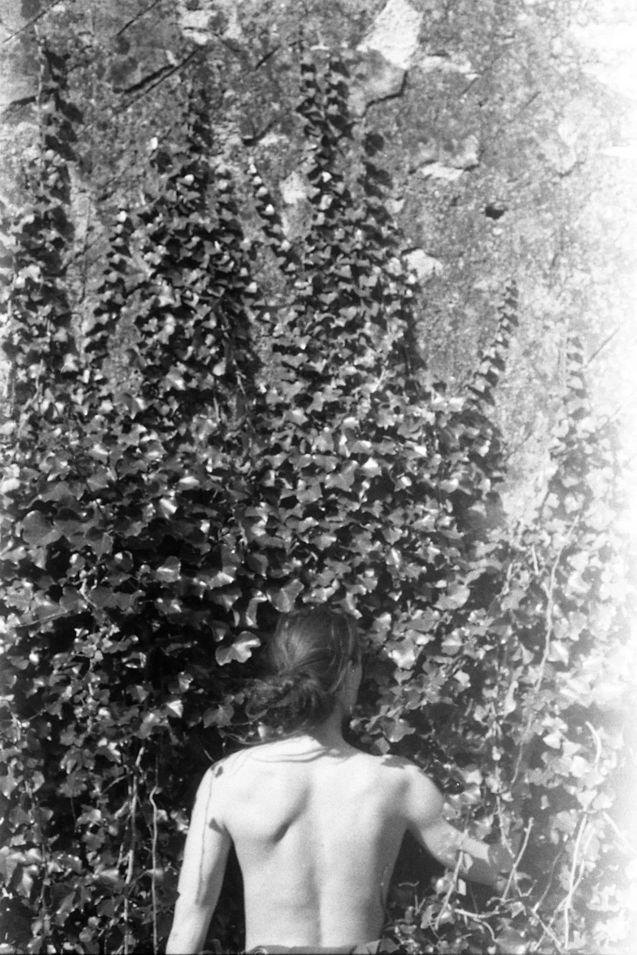 scan014.jpg