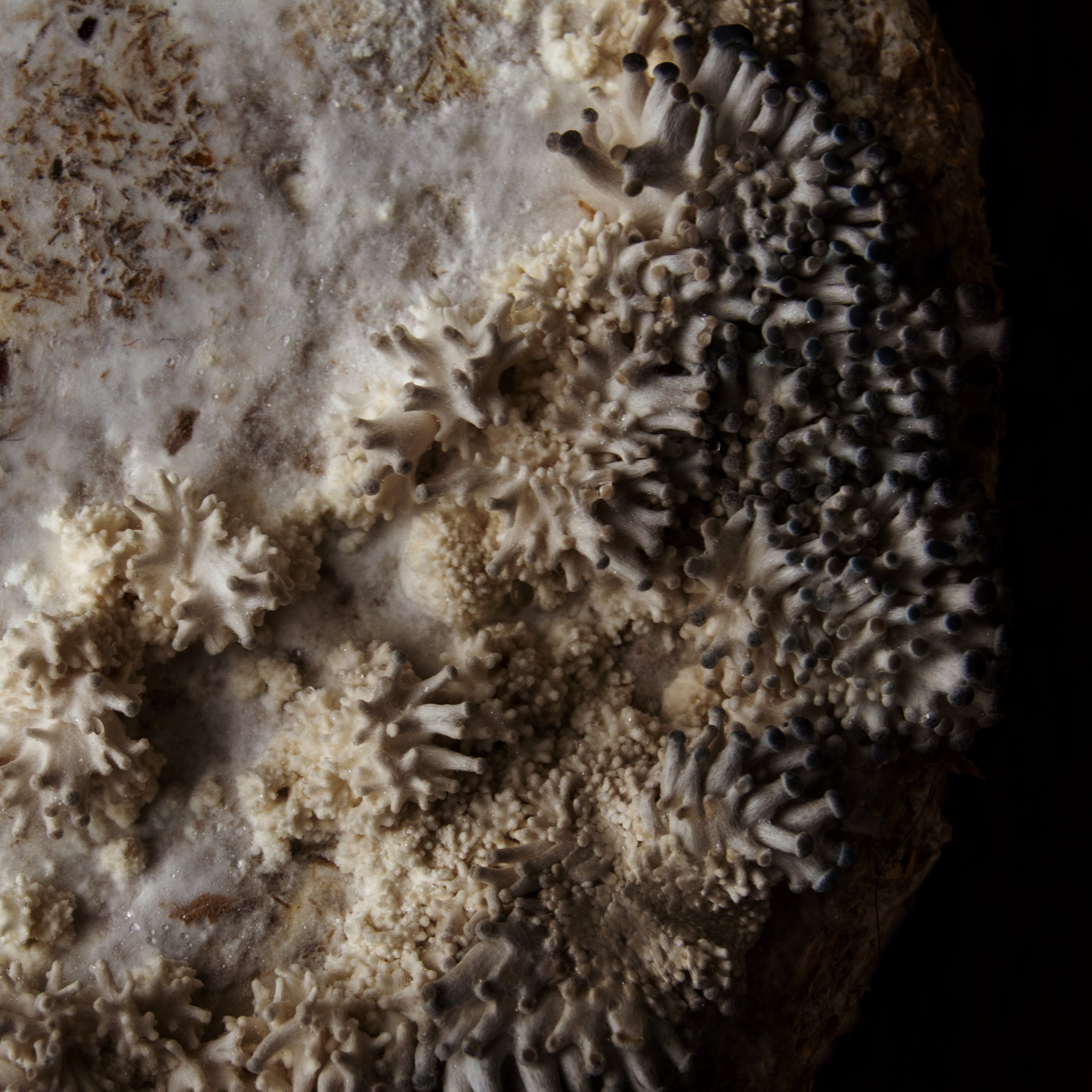 texture-3.jpg