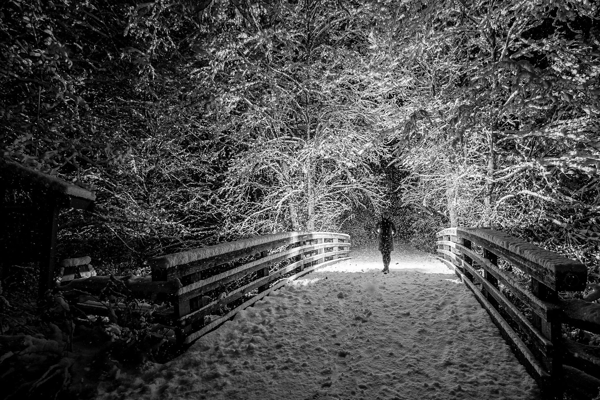 A person walking on a snow-covered bridge surrounded by snow-laden trees at night.