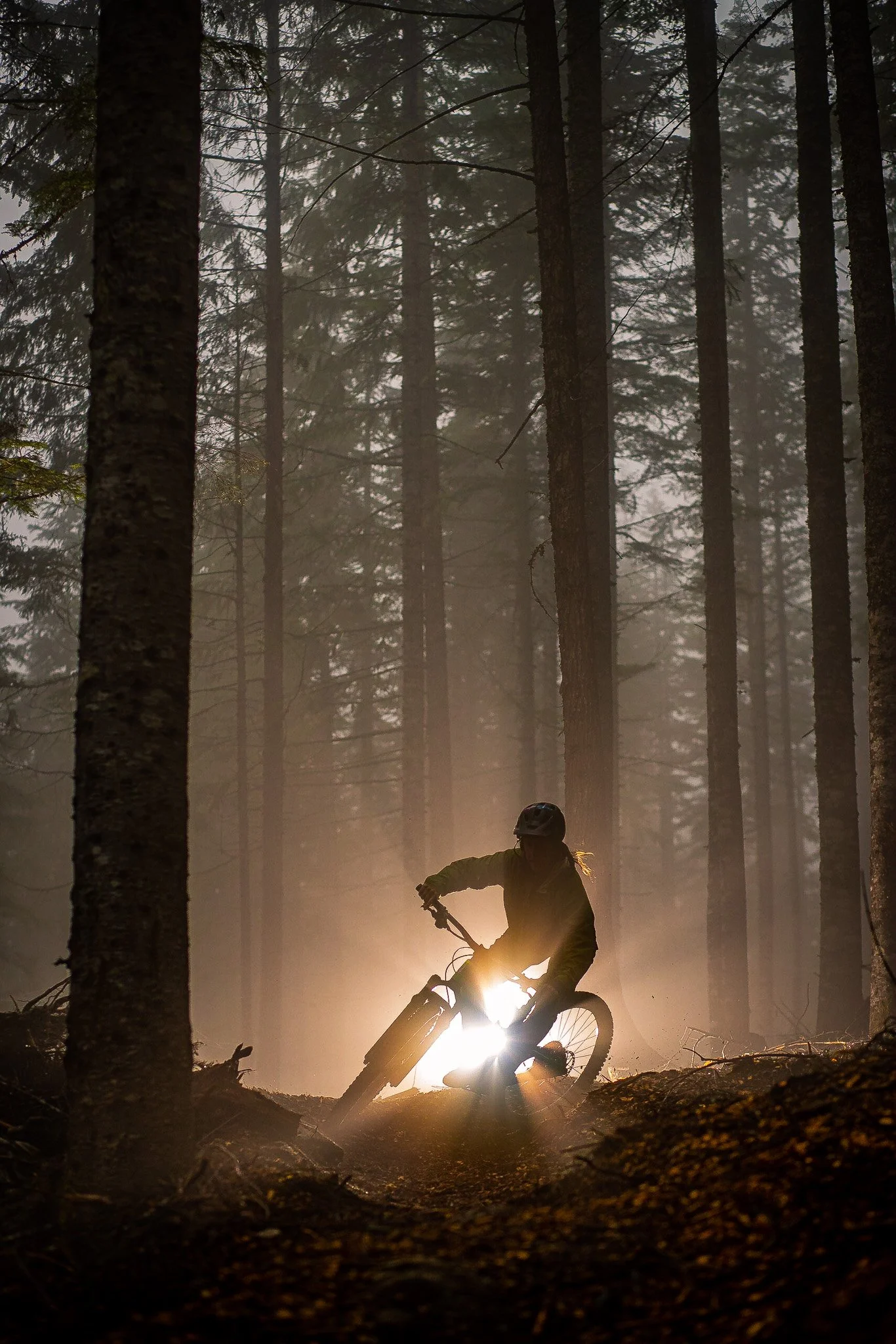 A person riding a mountain bike through a forest at sunset or sunrise with sunlight shining through the trees.