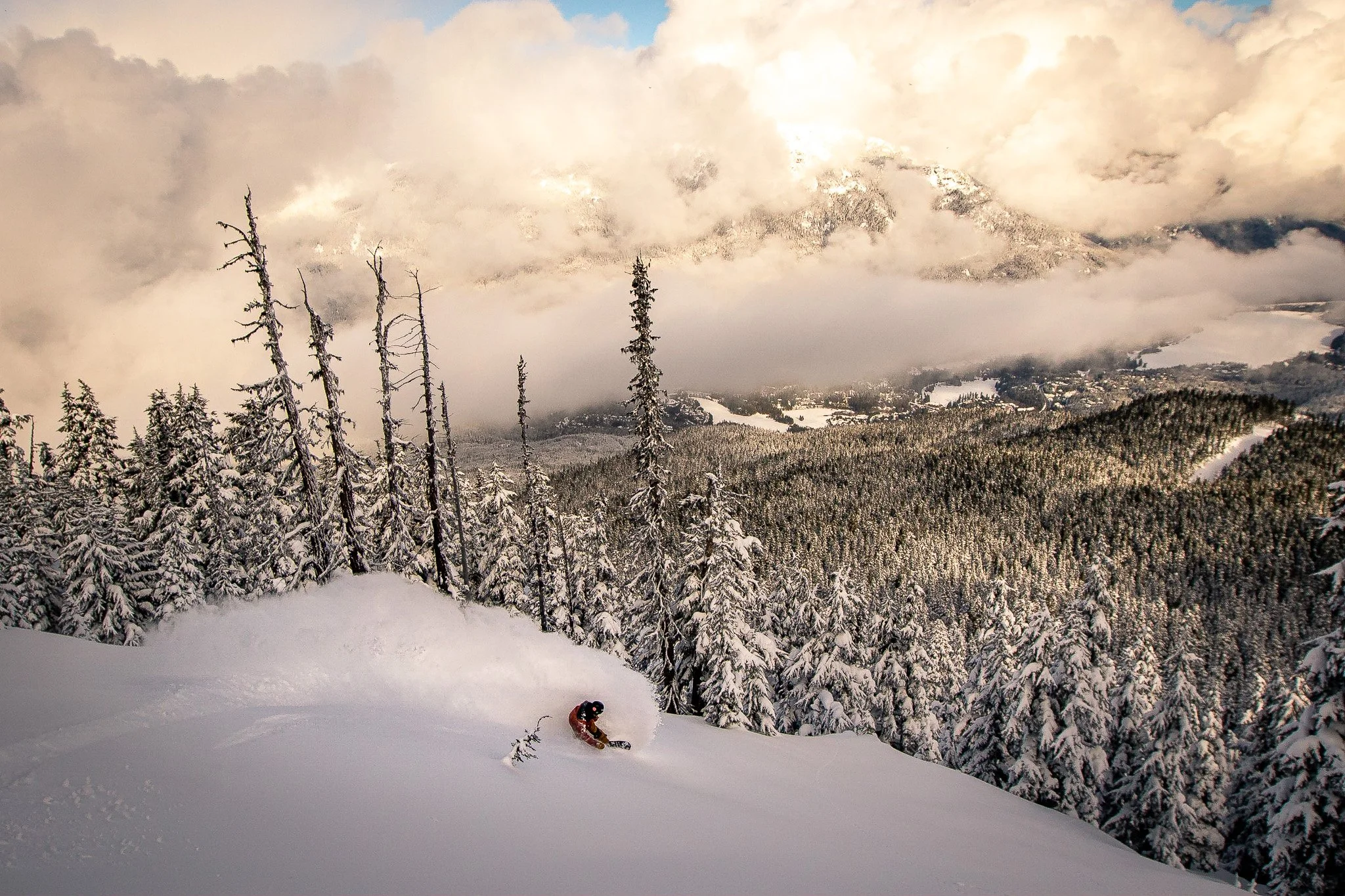 A person skiing down a snowy slope in a winter forest with snow-covered trees and mountains in the background, under a cloudy sky.