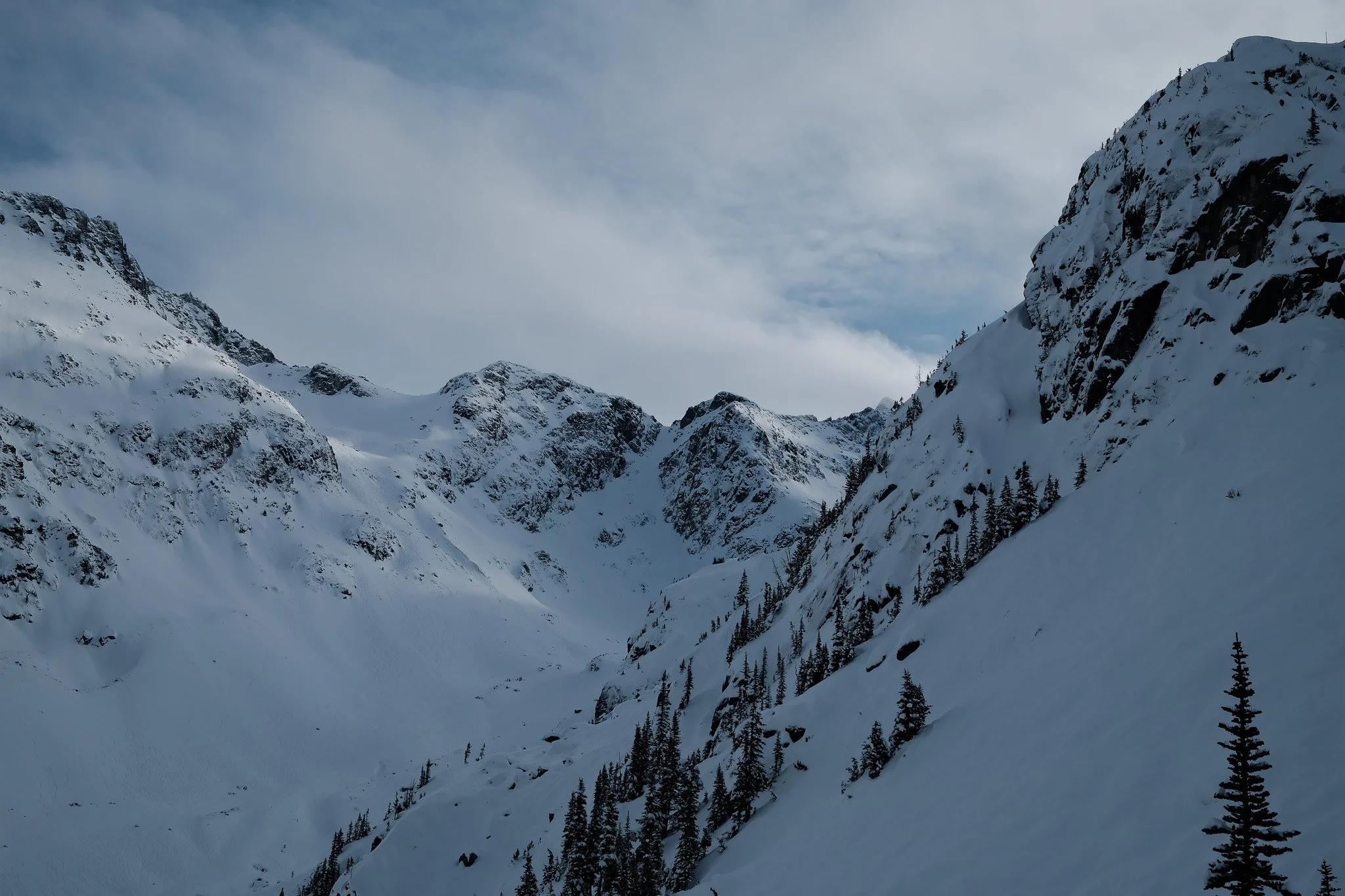 Snow-covered mountain valley with pine trees and rocky peaks under cloudy sky.