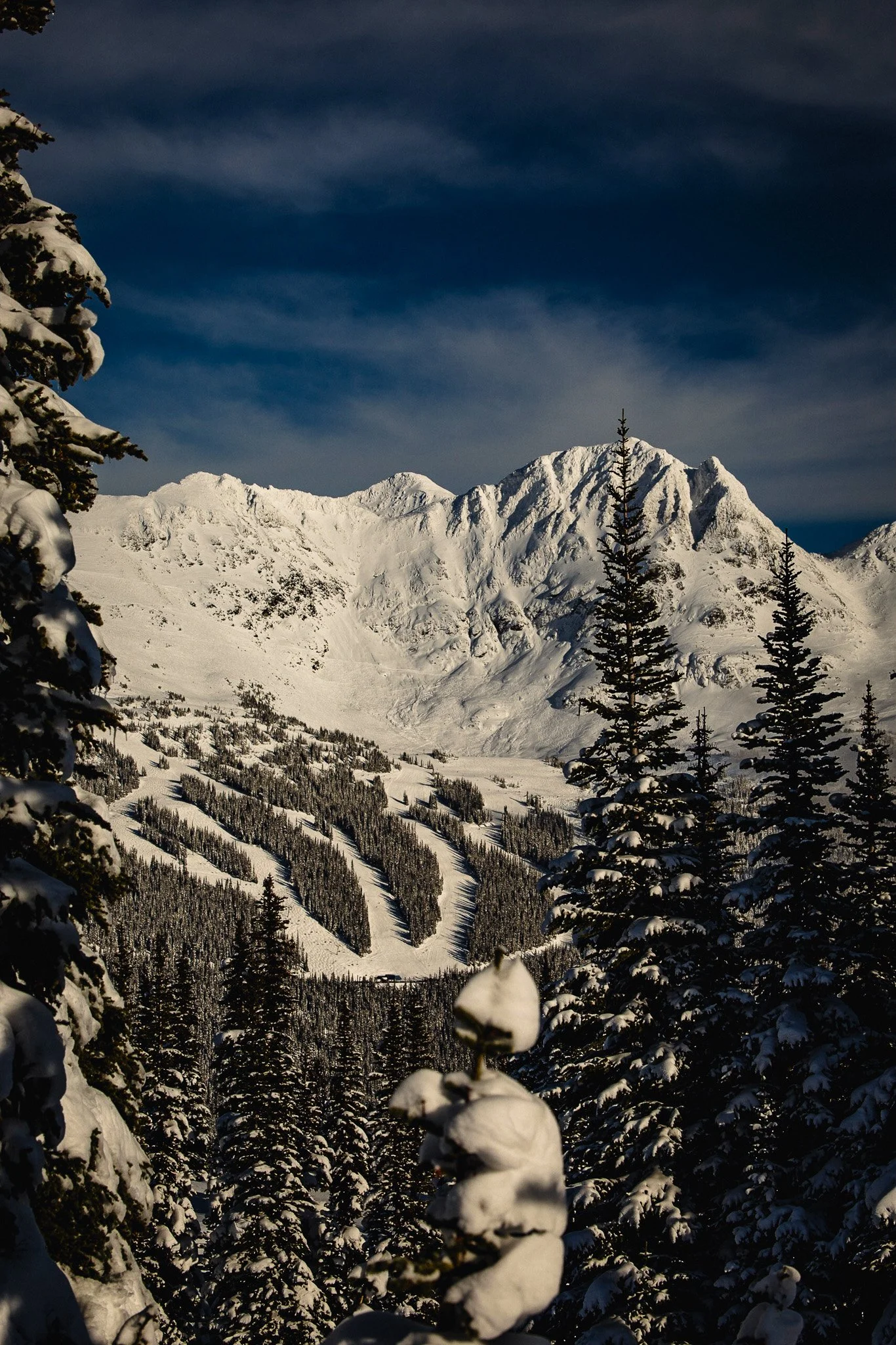 Snow-covered pine trees in a mountain landscape with a snow-capped mountain range in the background and a partly cloudy sky.