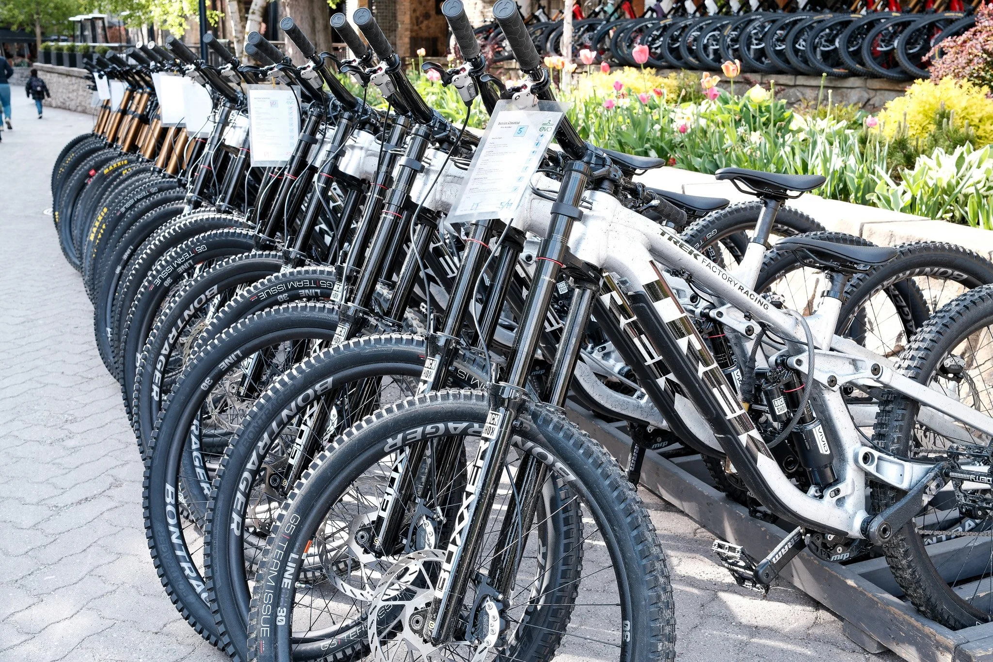 Row of parked mountain bikes with black and white frames and knobby tires, lined up outdoors near flower beds