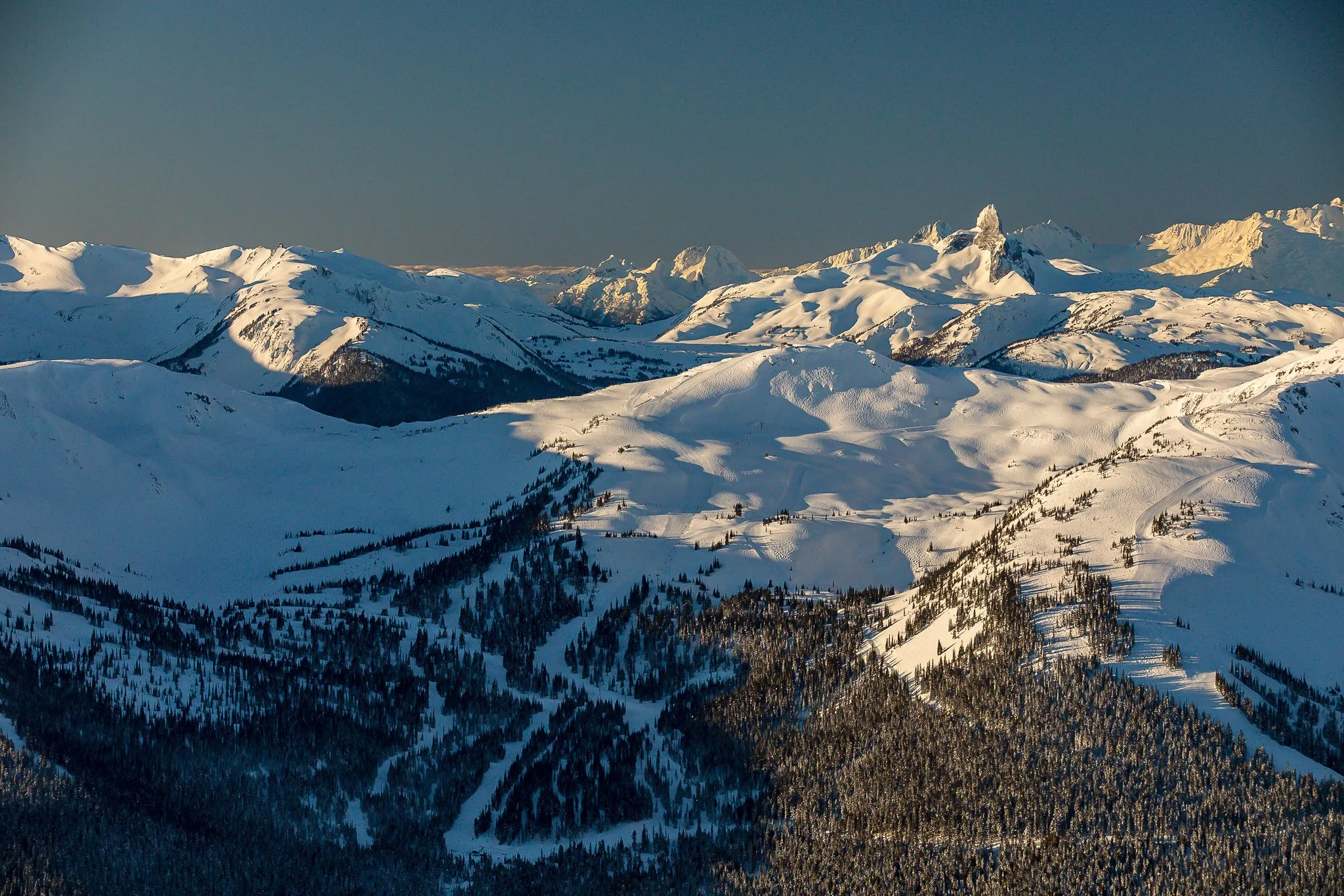 Snow-covered mountain range with dense forests on lower slopes and clear sky in the background.