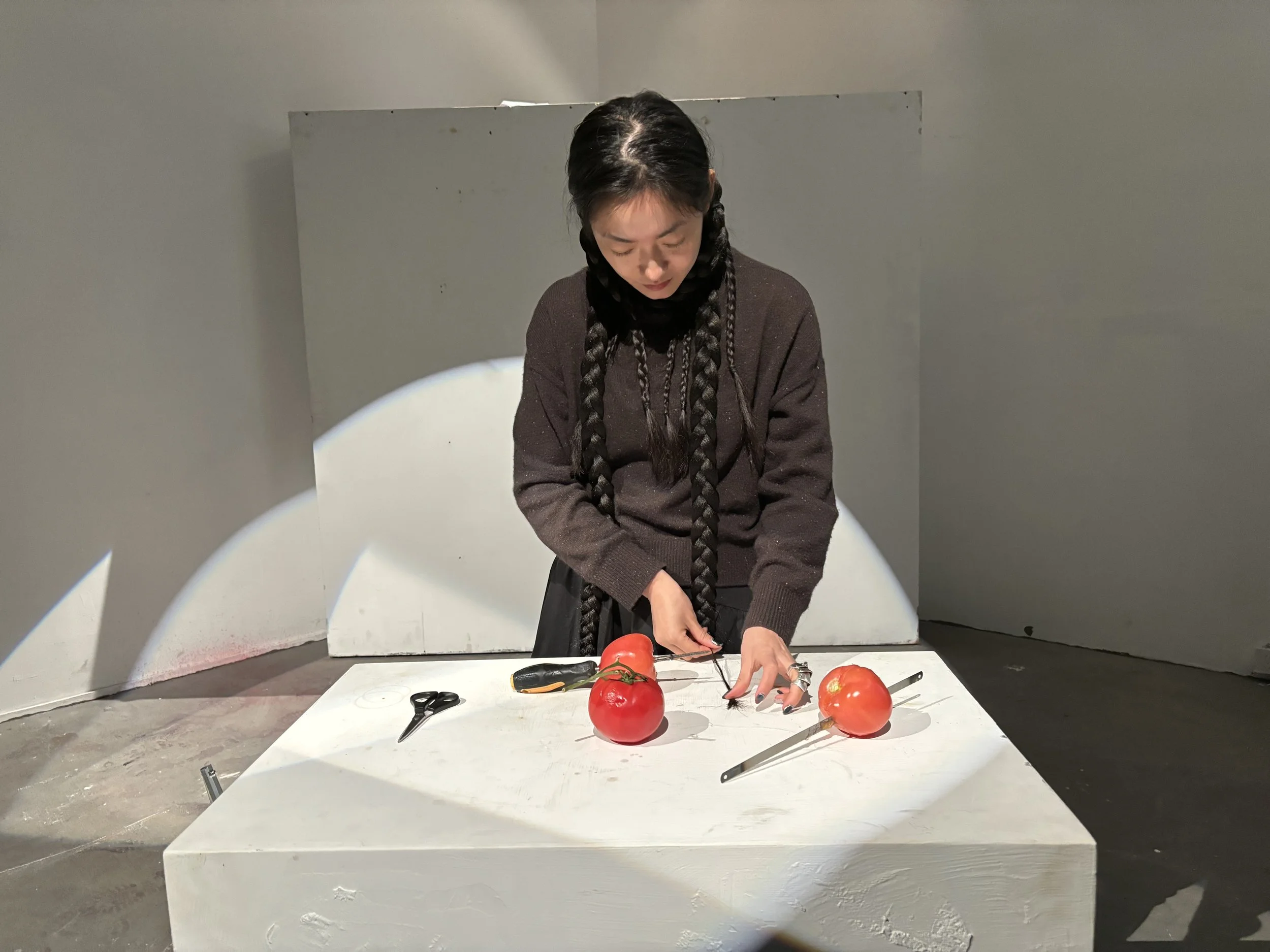 2024-12-17 214551.jpg