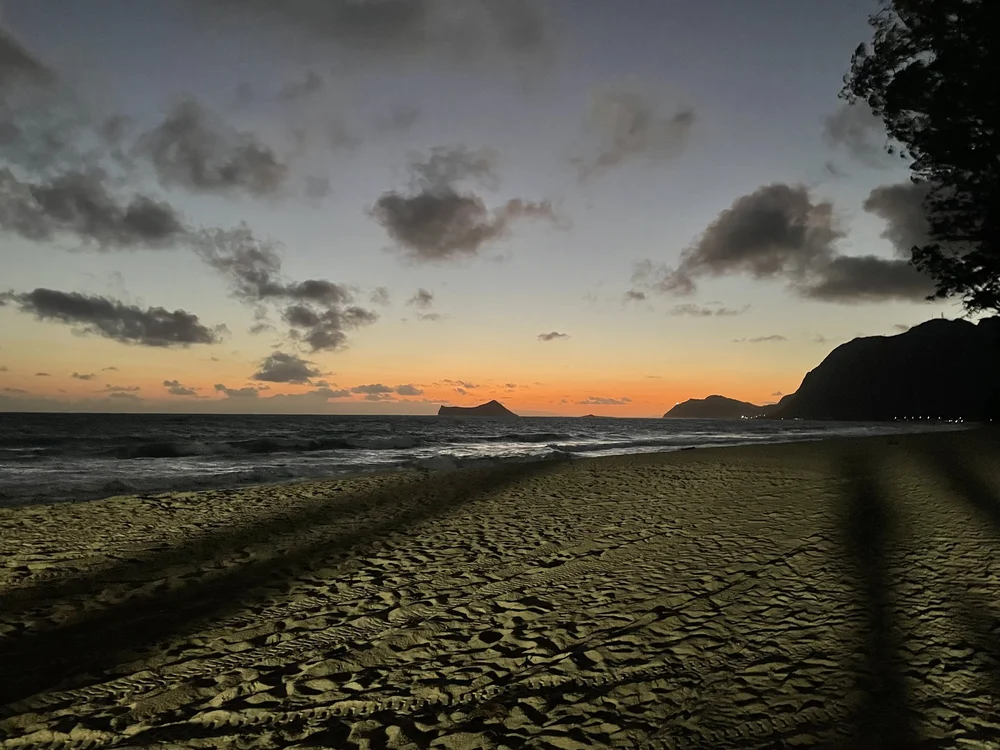 Monarch: Legacy of Monsters - Sherwood Forest