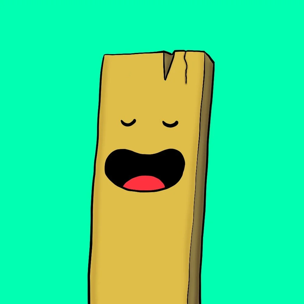 13.jpeg