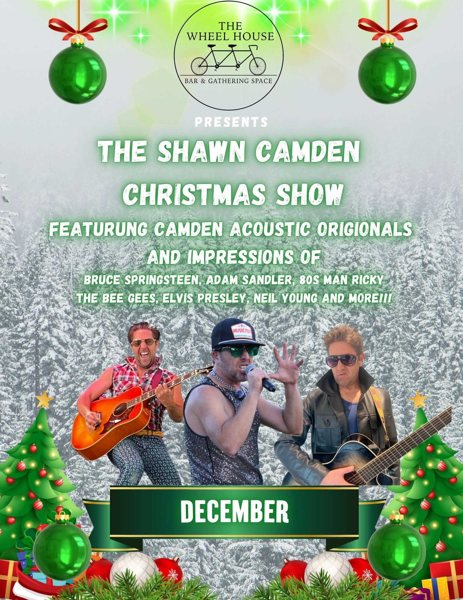 Shawn Camden Christmas Show