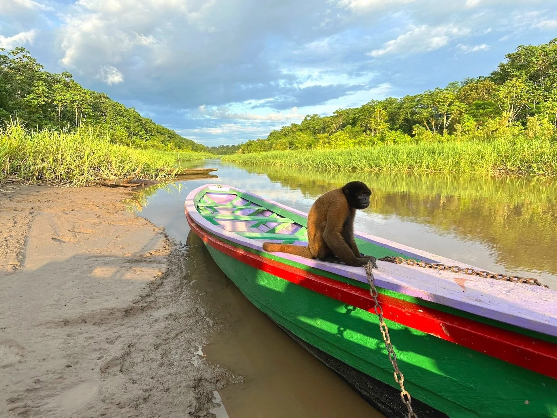 A monkey sitting on a colorful boat beside a river in a lush green tropical landscape.