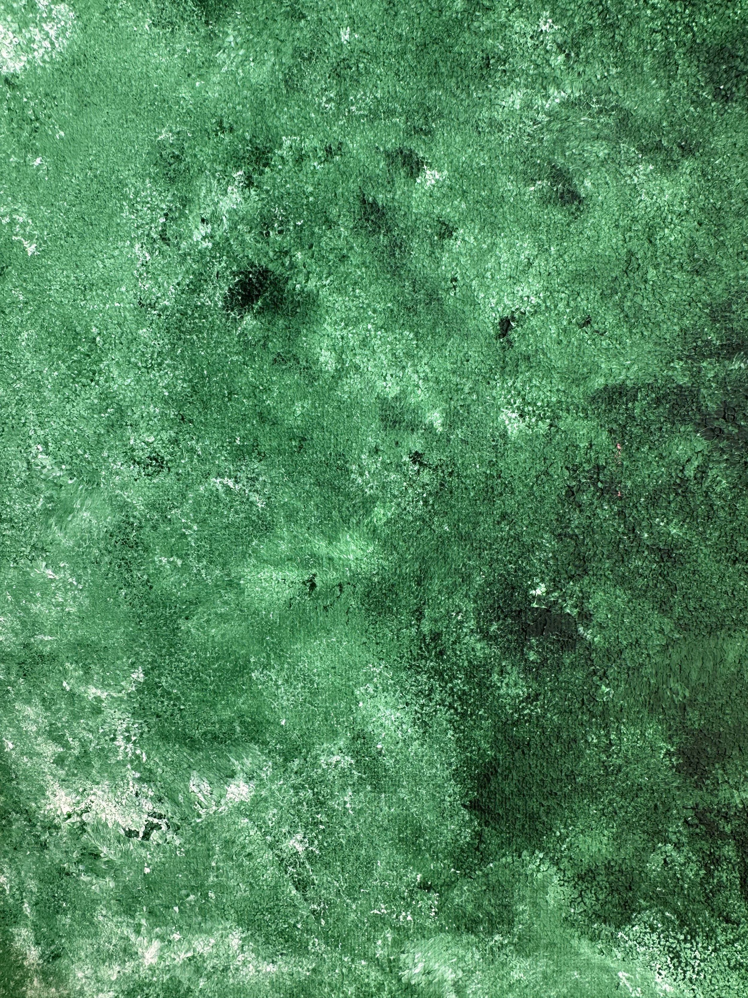 Green Sanctuary 3.jpeg